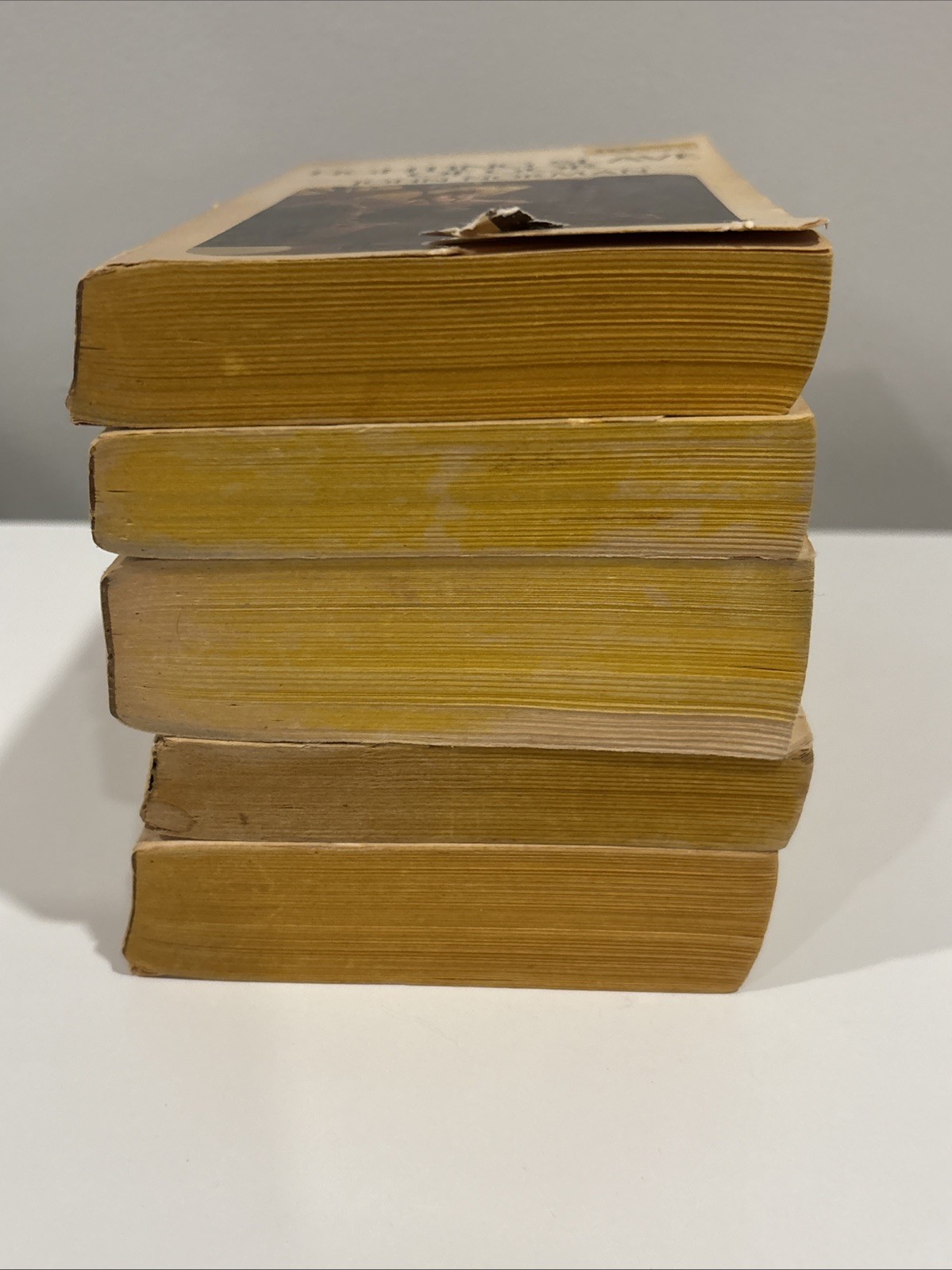 John Norman Gor lot 5 books Daw Gorean lifestyle vintage bdsm Art Covers
