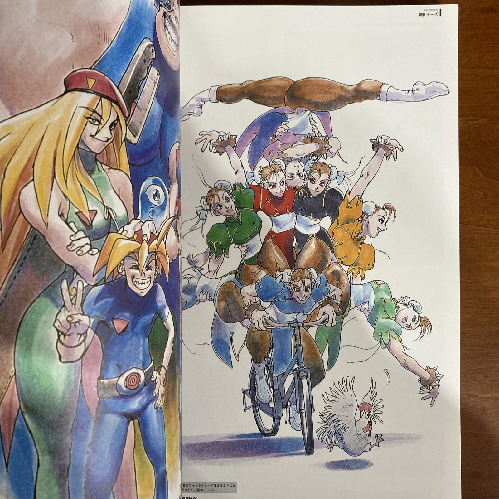 Street Fighter Artworks Kyoku Art Book Illustration