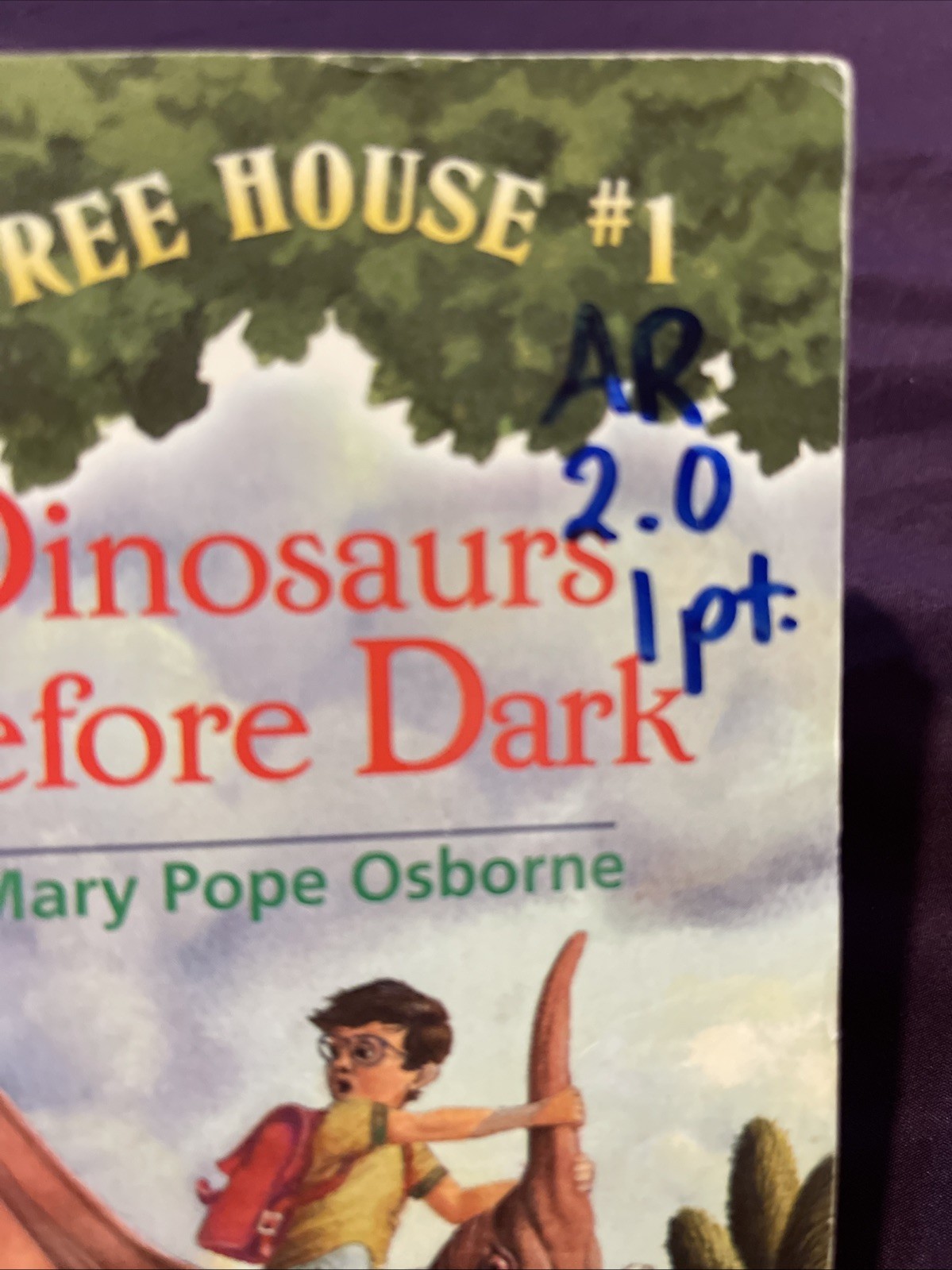 Dinosaurs Before Dark by Mary Pope Osborne (1992, Digest Paperback)