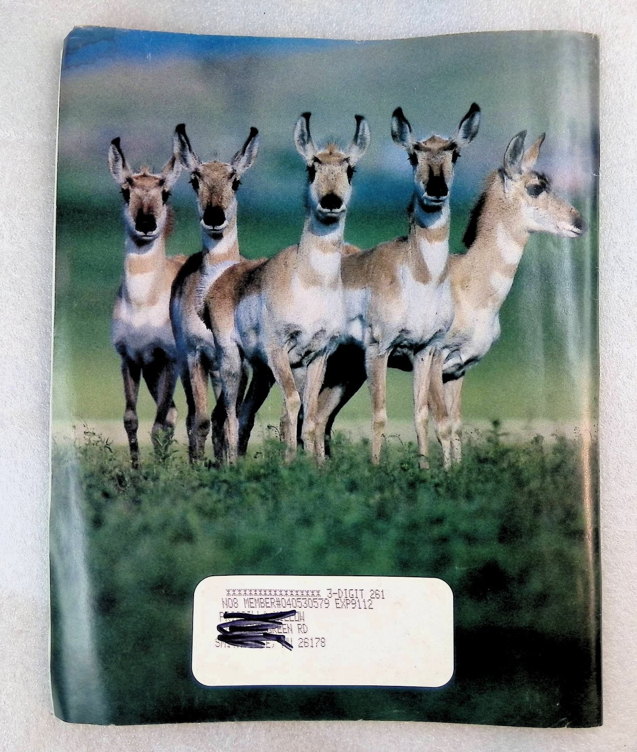 National Wildlife National Wildlife Federation Aug-Sept 1991 Magazine Nature