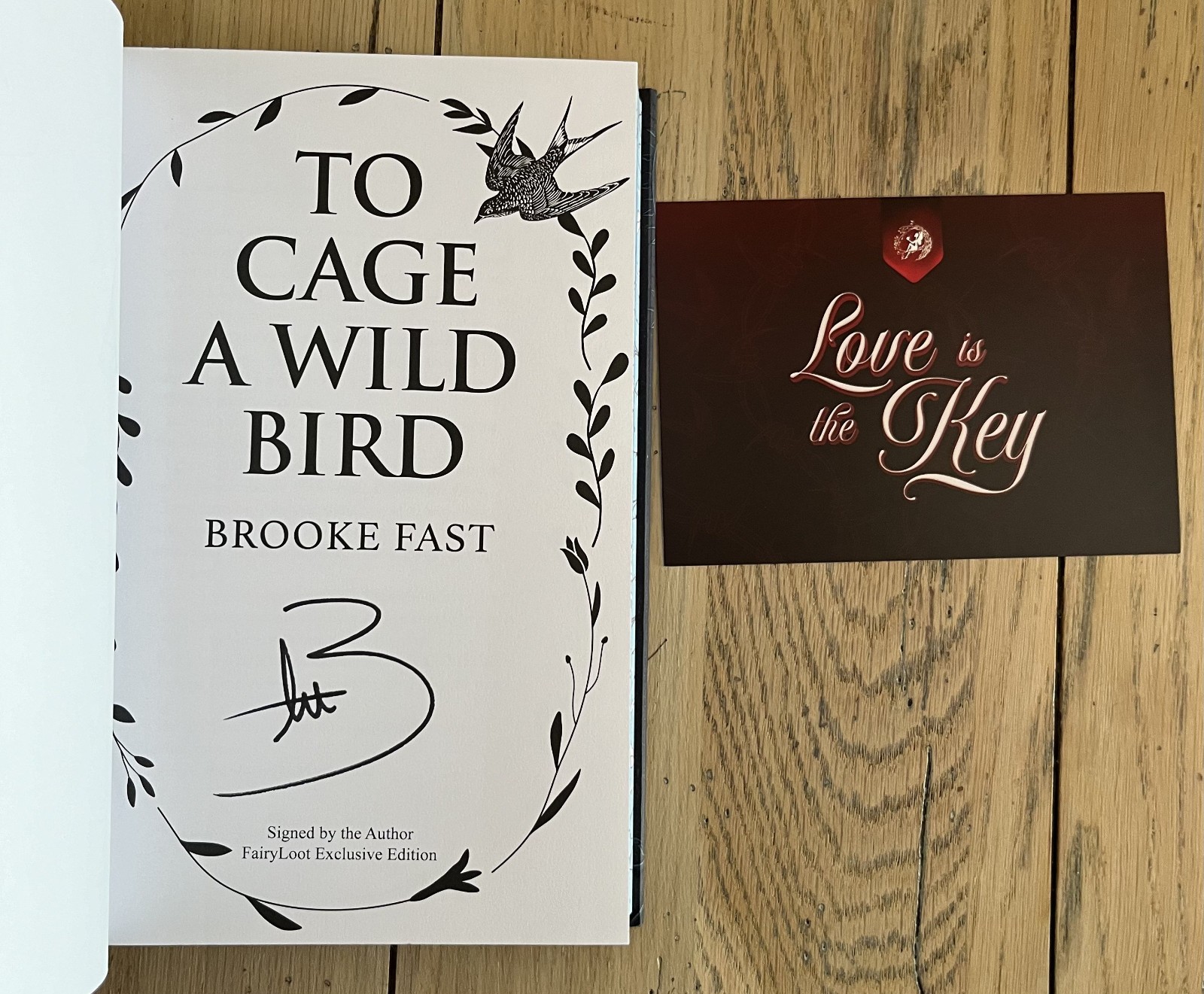 SIGNED To Cage a Wild Bird by Brooke Fast – Fairyloot Special Edition