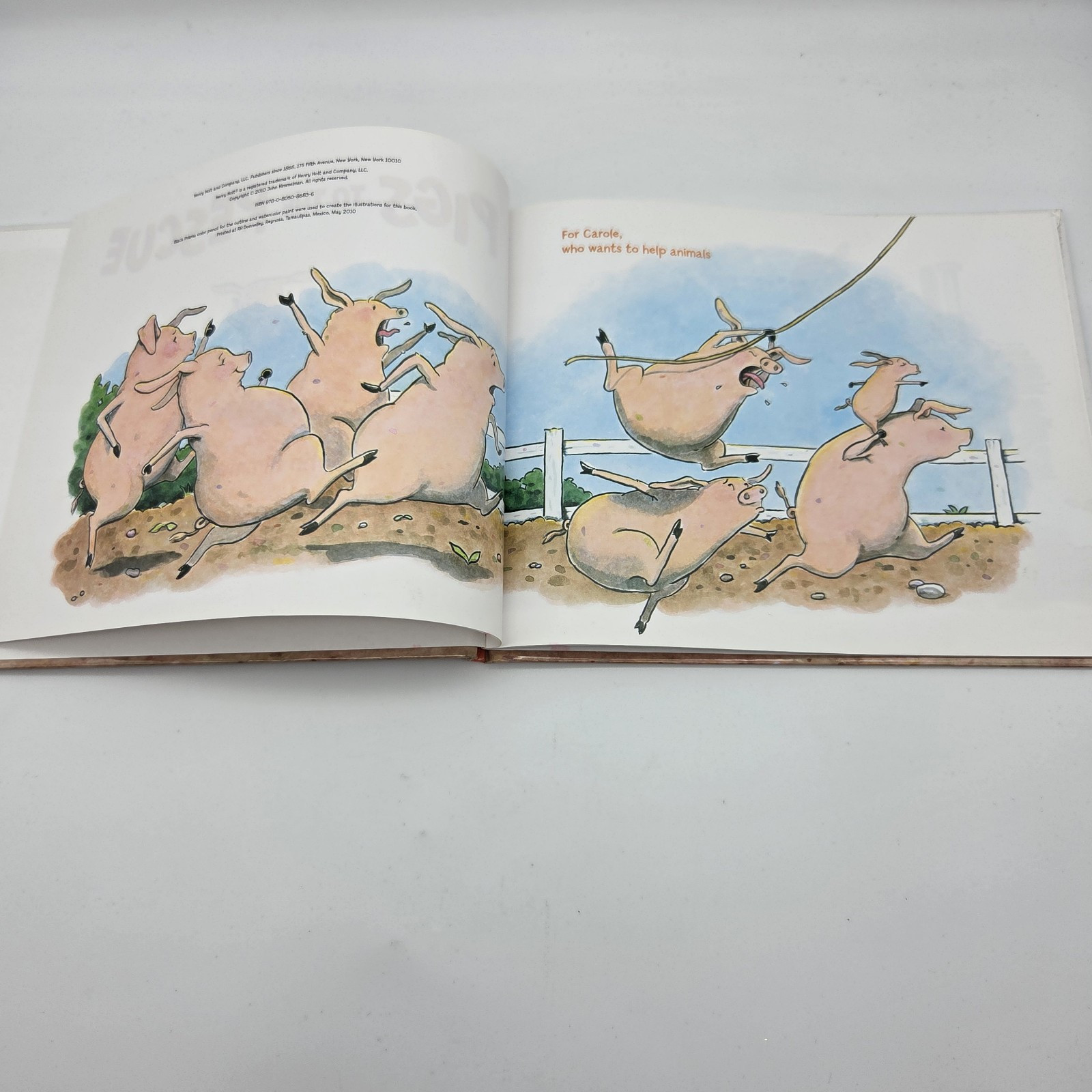 Pigs to the Rescue: A Picture Book by John Himmelman – Kid’s Stories Ships Fast