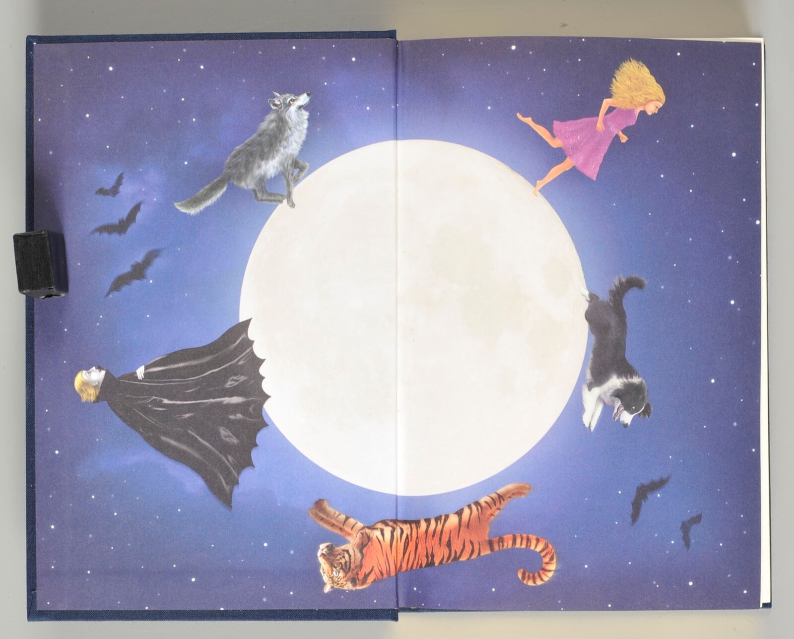 Charlaine Harris Dead Ever After First Limited Edition Linen Bound Slipcase 1270