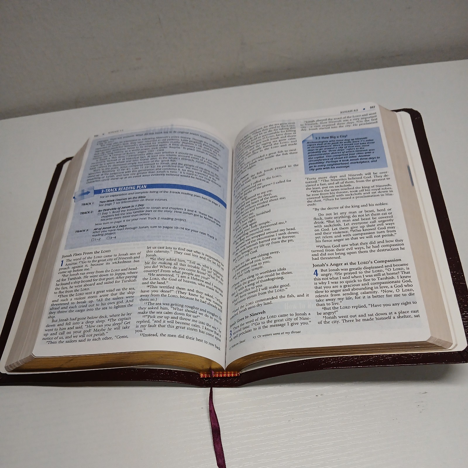 The Student Bible New International Version 1996 Edition Burgundy Bonded Leather