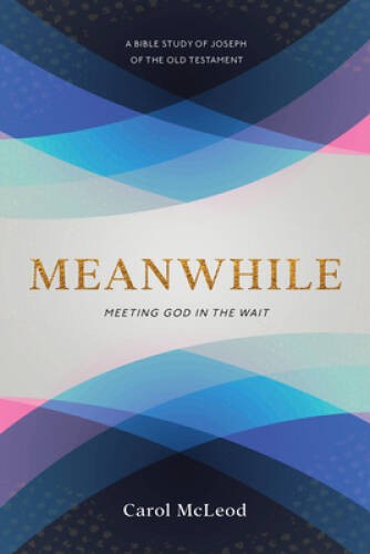 Meanwhile: Meeting God in the Wait – Paperback By McLeod, Carol – GOOD