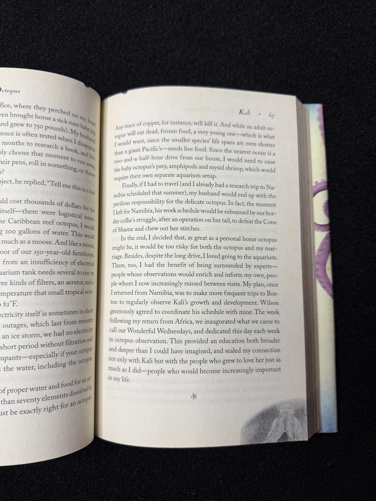 Soul of an Octopus : A Surprising Exploration into the Wonder of…