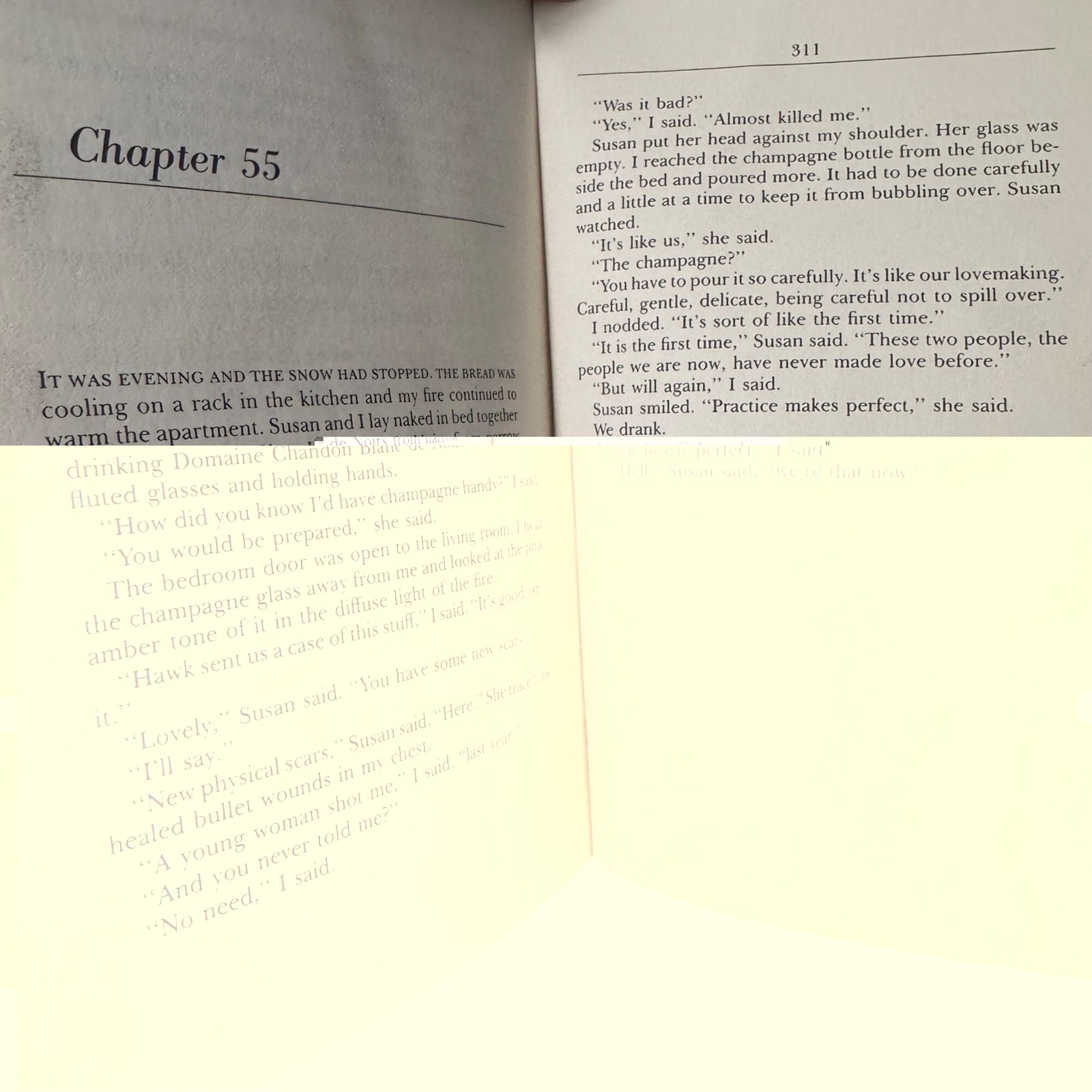 A Catskill Eagle 1985 by Robert B Parker First Ed Printing Delacorte Press HC