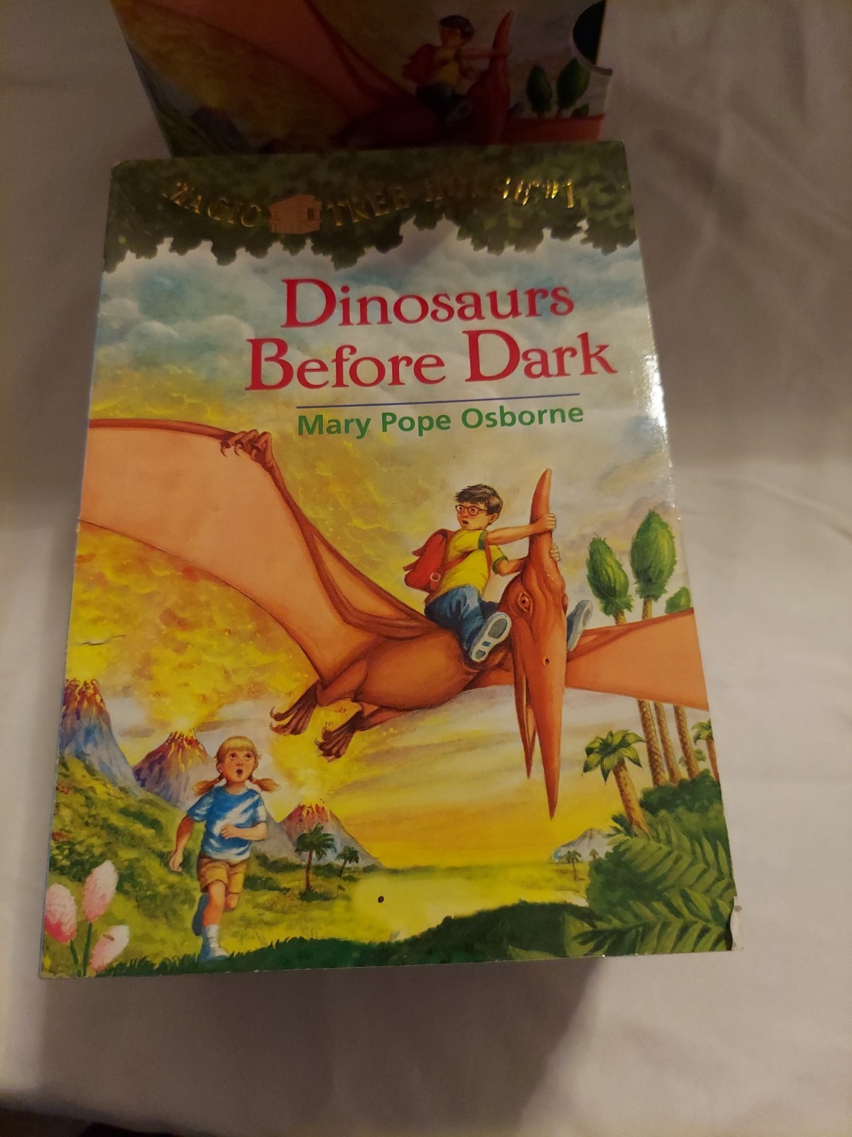 Magic Tree House Boxed Set – See Photographs For Titles !!!