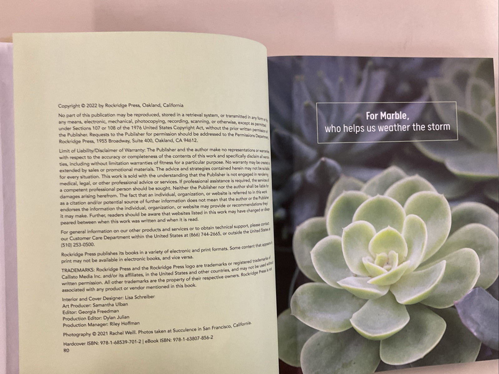 Succulent Obsession Complete Guide by Ken Shelf HC 2022 Rockridge Press