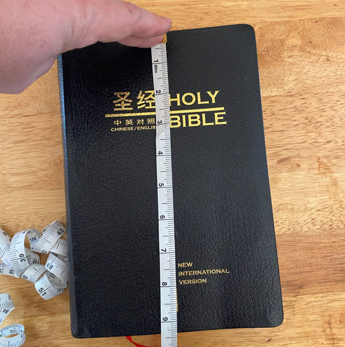 Chinese and English Holy Bible NIV standard Size,中英文《圣经》本/新国际版 -Tabulated