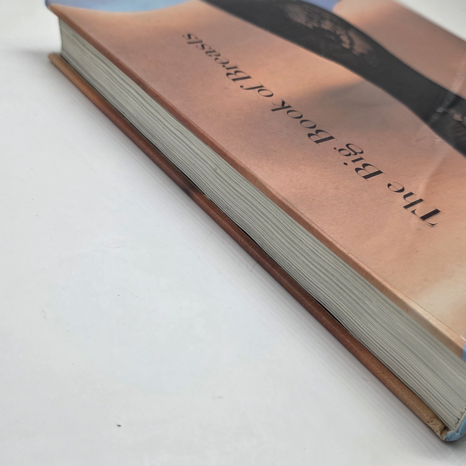 Big Book of Breasts by Dian Hanson (2006, Hardcover) Erotica Adult Nudity