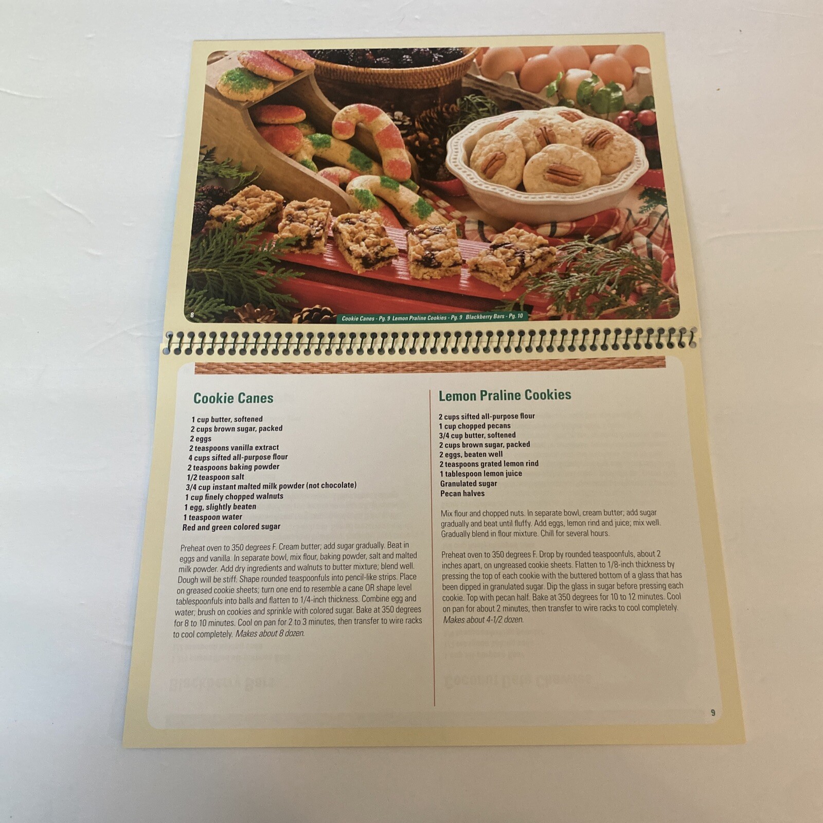 Vintage 2009 Cookbook Wisconsin Electric RECIPES Cookie Cook Book We Energies