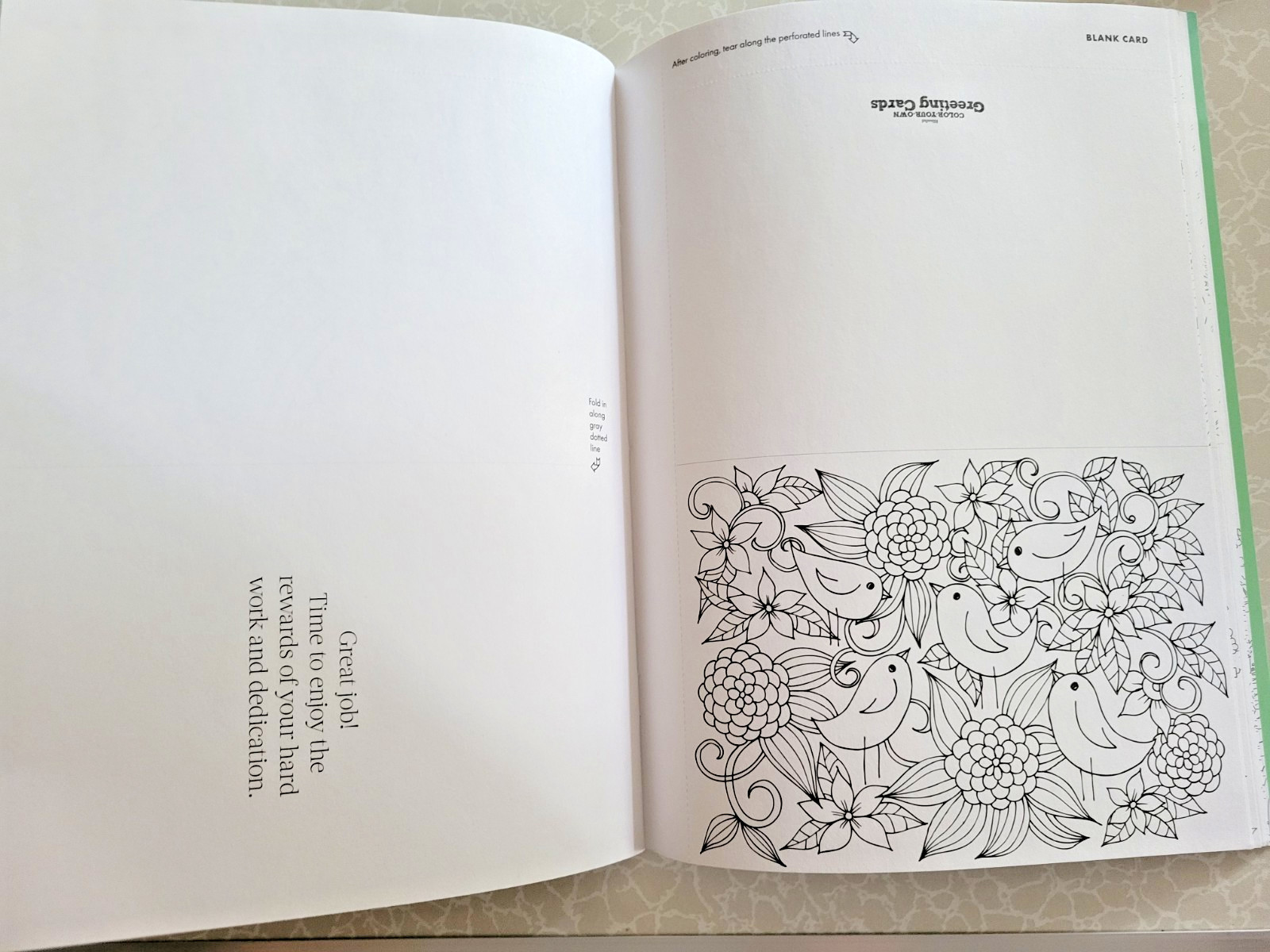 COLOR YOUR OWN GREETING CARDS Create 27 Fun & Festive Cards – Children & Adult