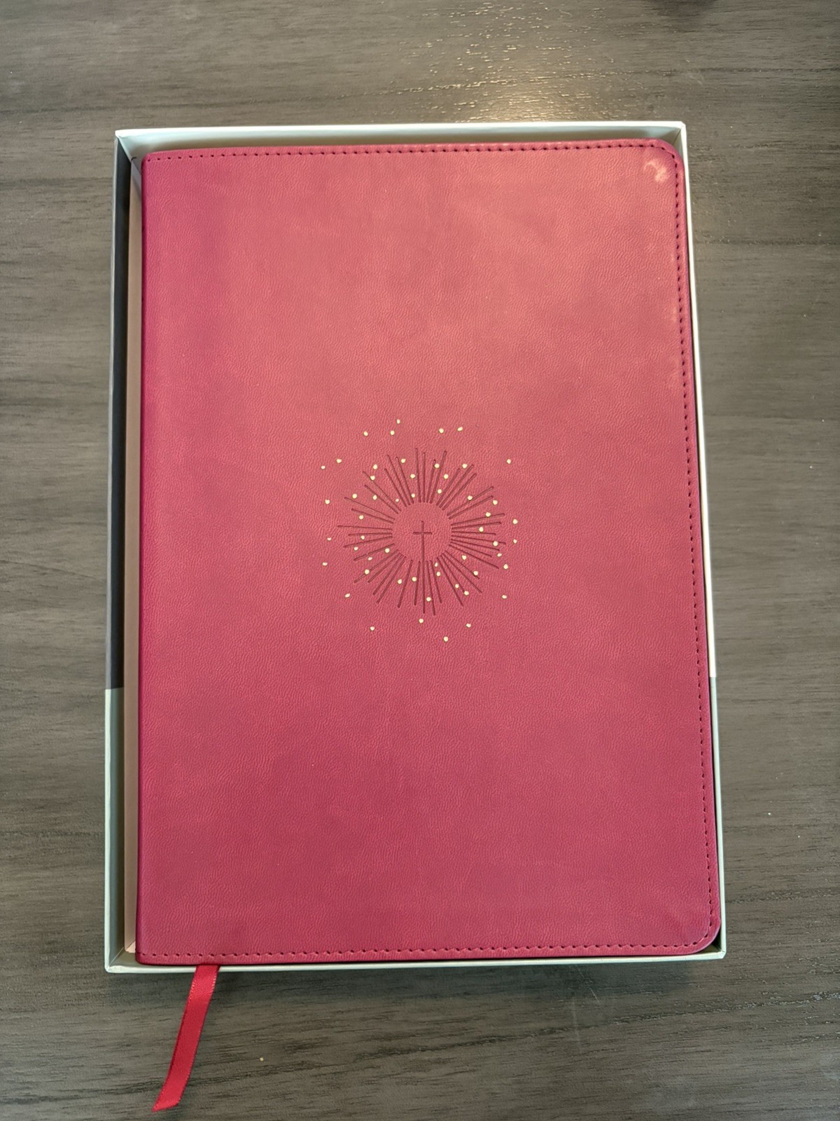 NLT Large Print Filament Thinline Reference Holy Bible Tyndale – Cranberry
