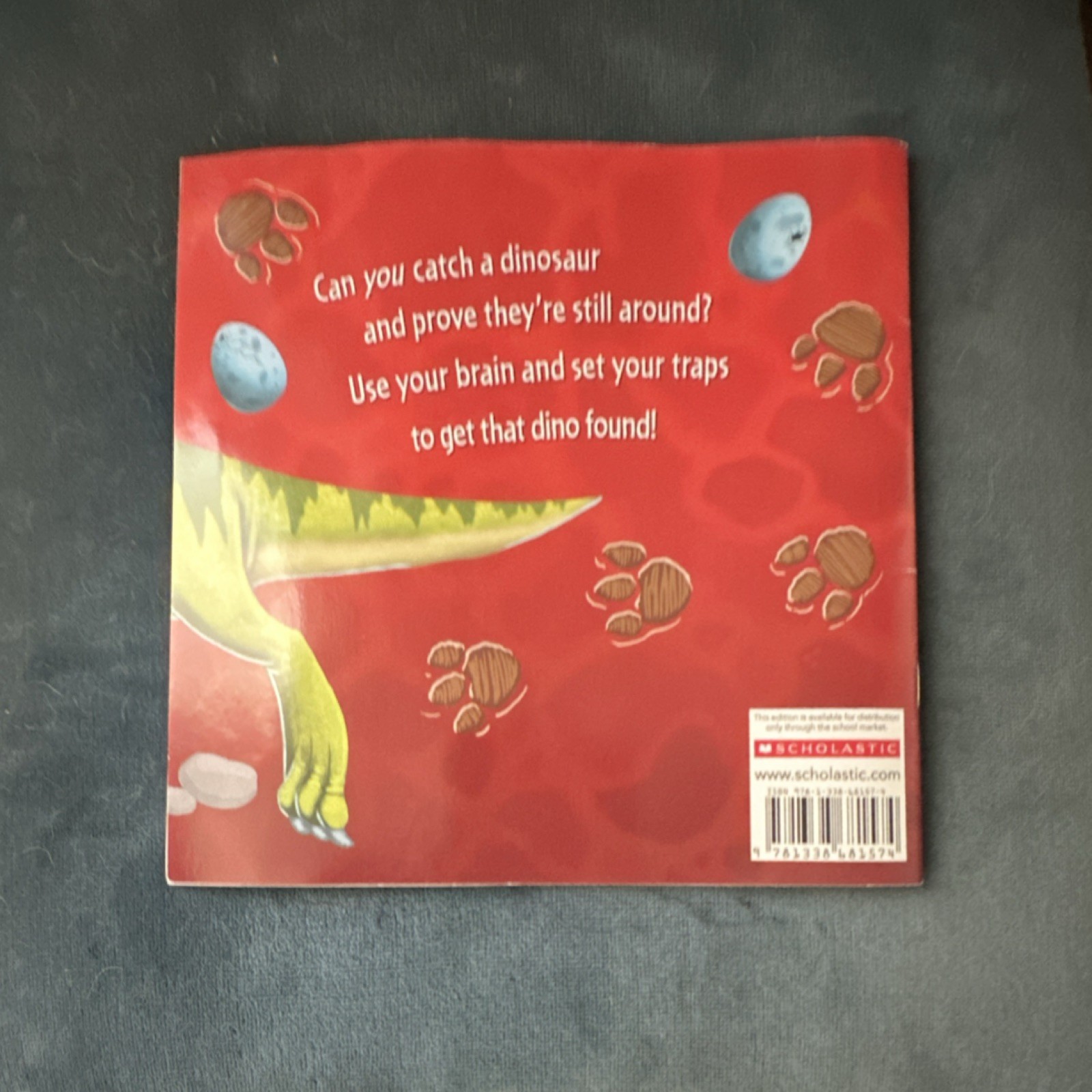 How to Catch a Dinosaur Paperback Scholastic Picture Book Ages 4-8 Dinosaurs