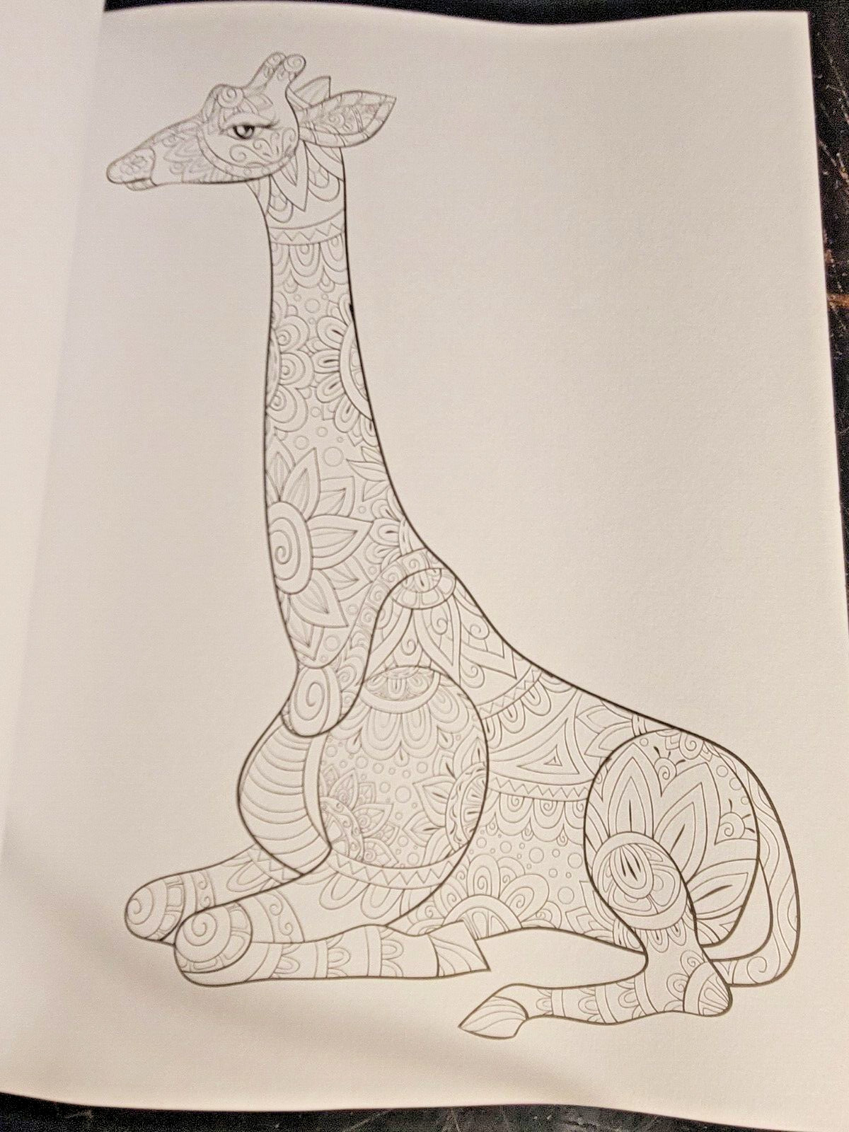 COLORS OF THE WILD! Vol. 16 Adult Coloring Book With 47 Prints Ready To Frame!