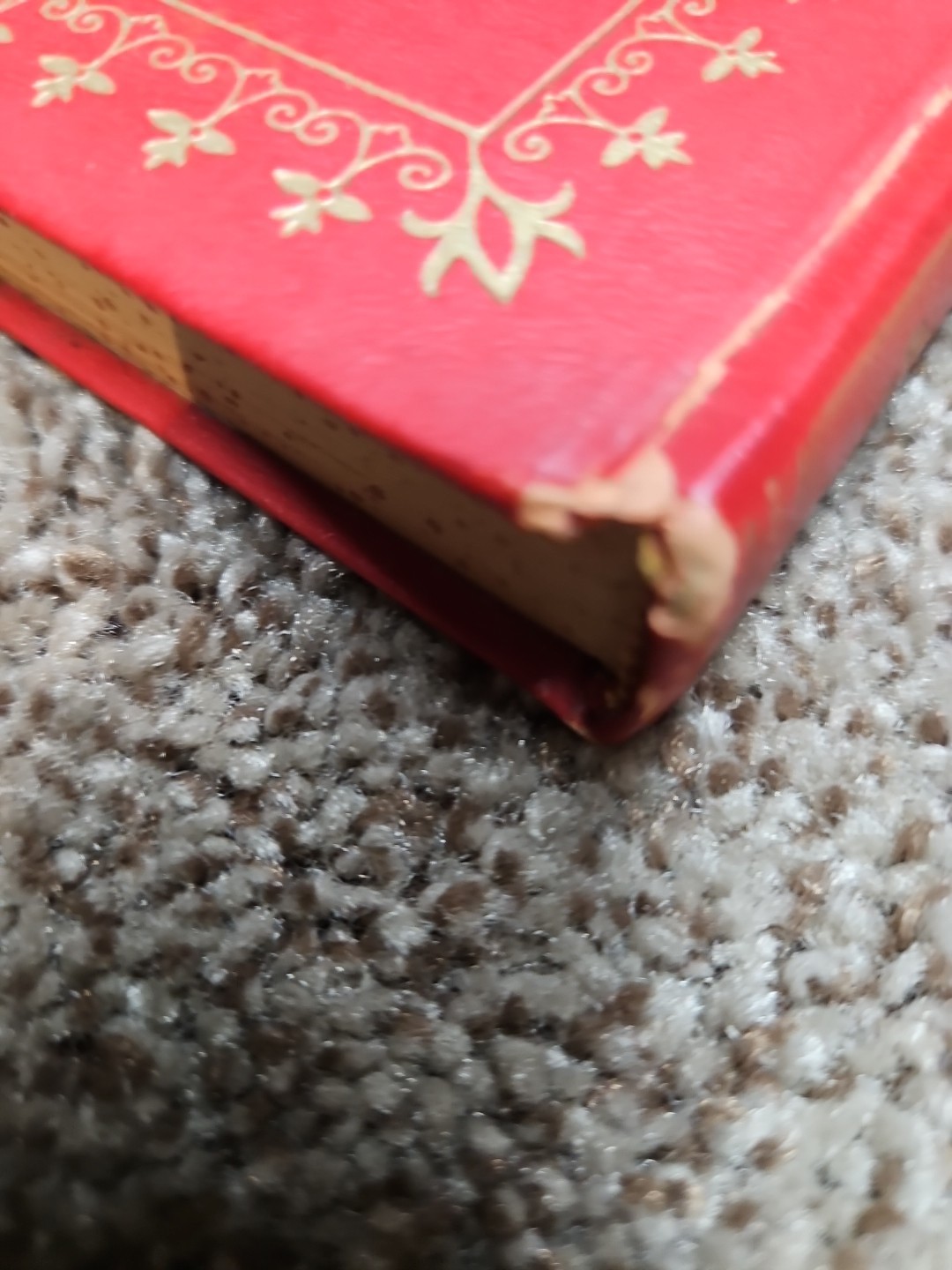 The Joy of Words J. G. Ferguson 1960