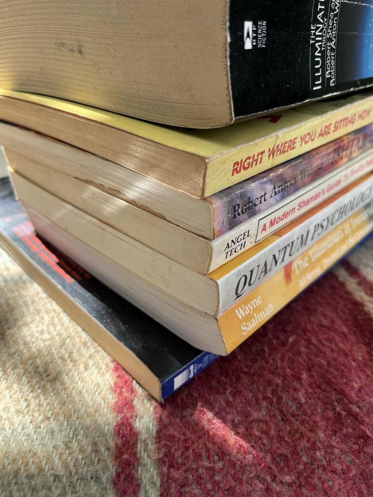 Robert Anton Wilson Book Lot