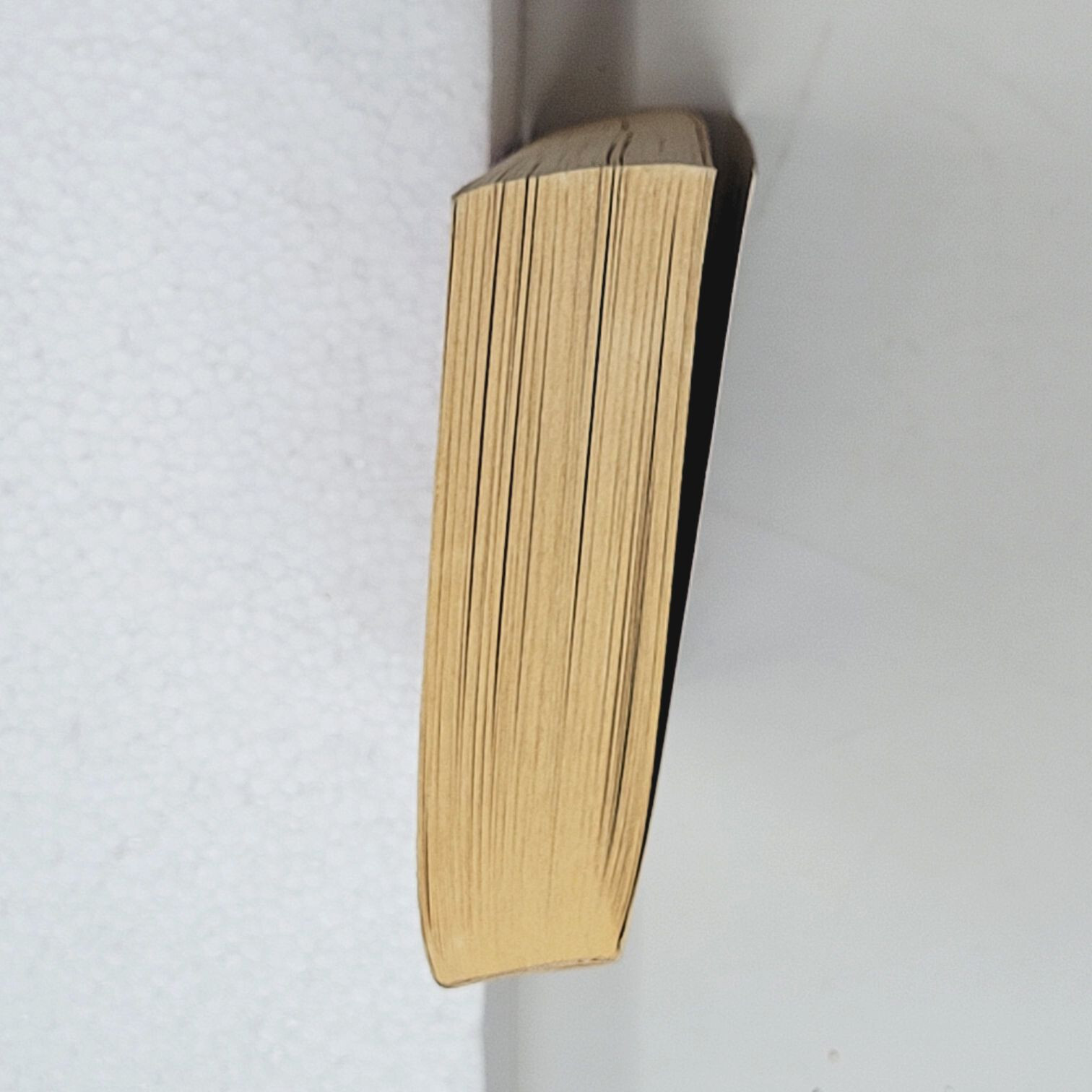 SIMON WOOD 1ST EDITION – We All Fall Down 2008 (Paperbacks From Hell)