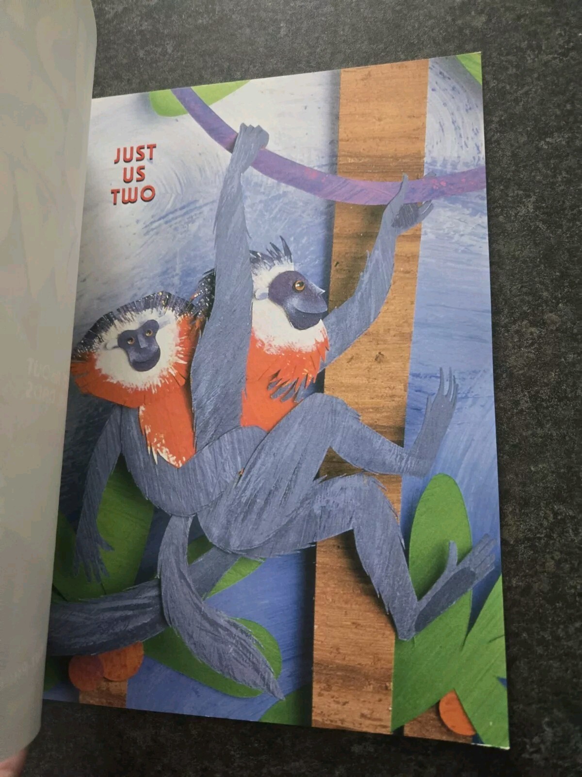 Just Us Two : Poems about Dads by Joyce Sidman and Susan Swan (2003, Trade…