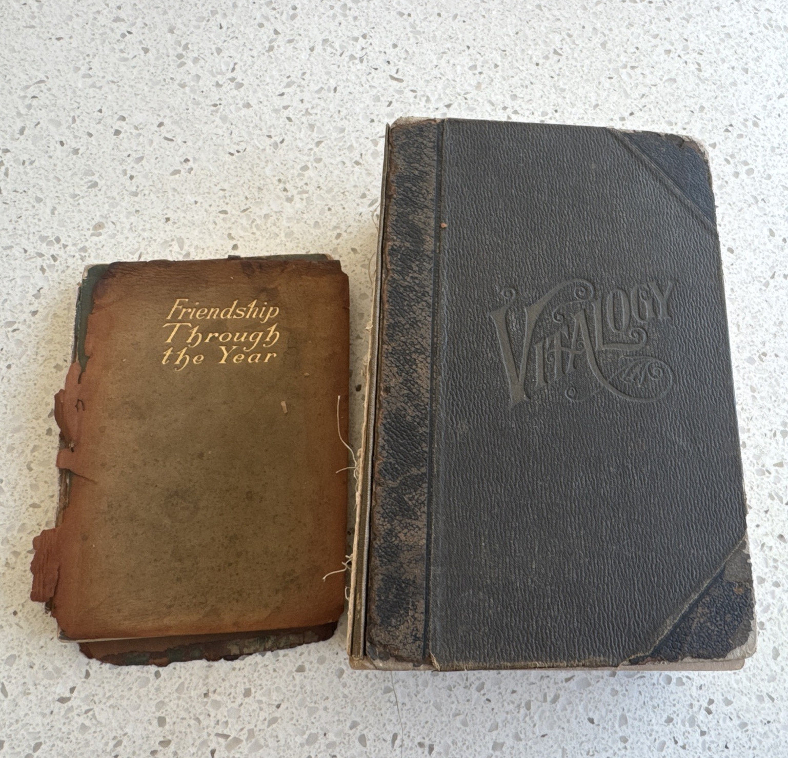 Antique Bookbinder’s Project Lot – 2 Antique Books for Restoration, Repair, Art
