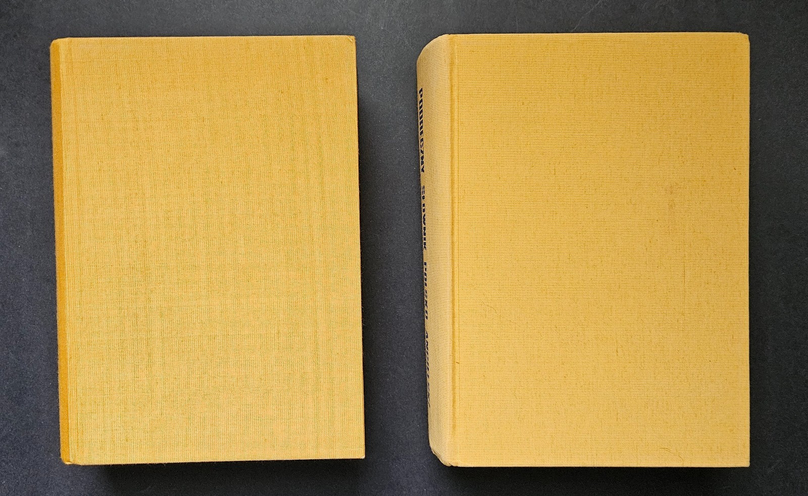 Słownik Angielsko-Polski /English-Polish Dictionary 2 Book Set
