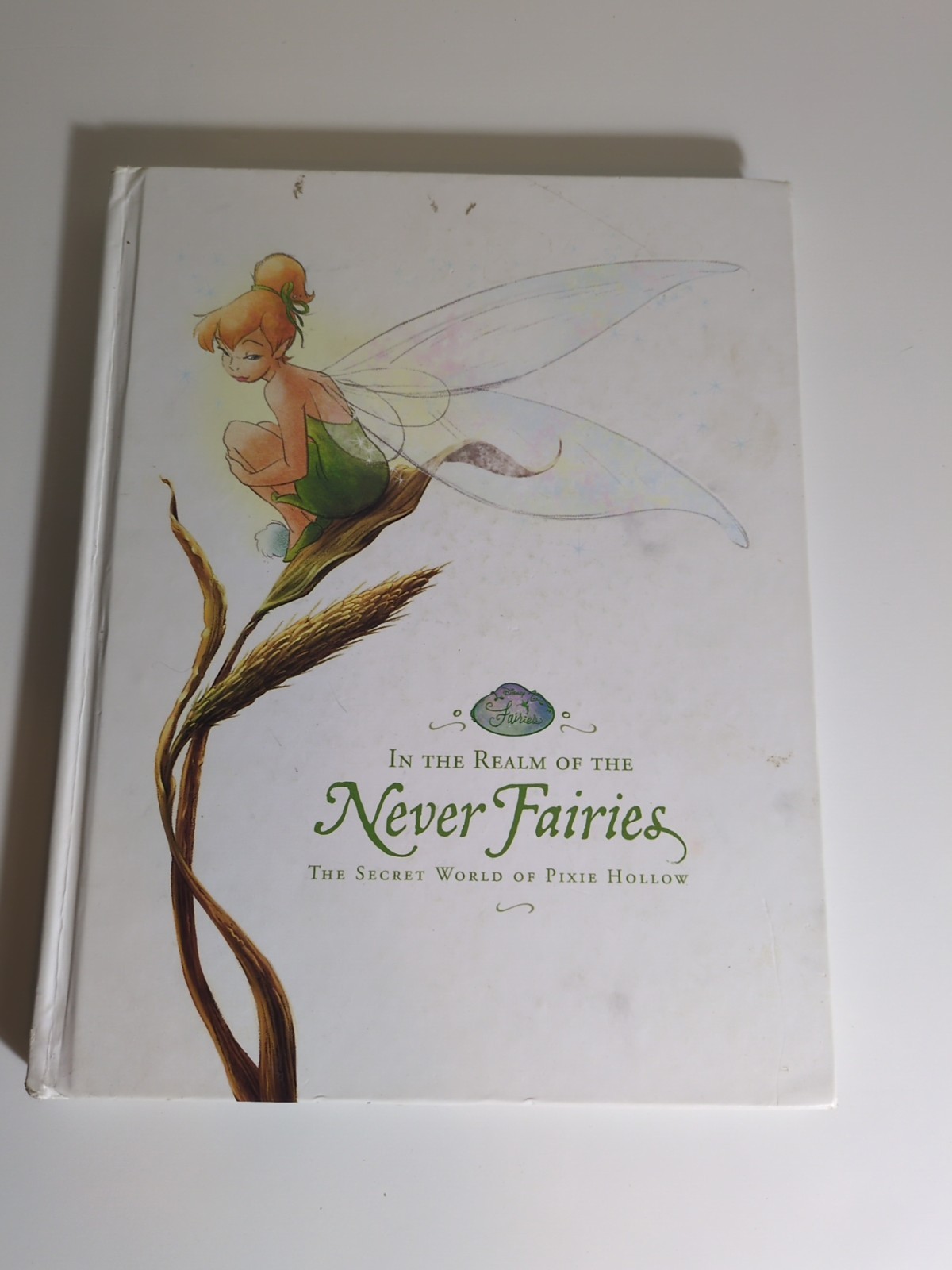 Realm of the Never Fairies The Secret World of Pixie Hollow
