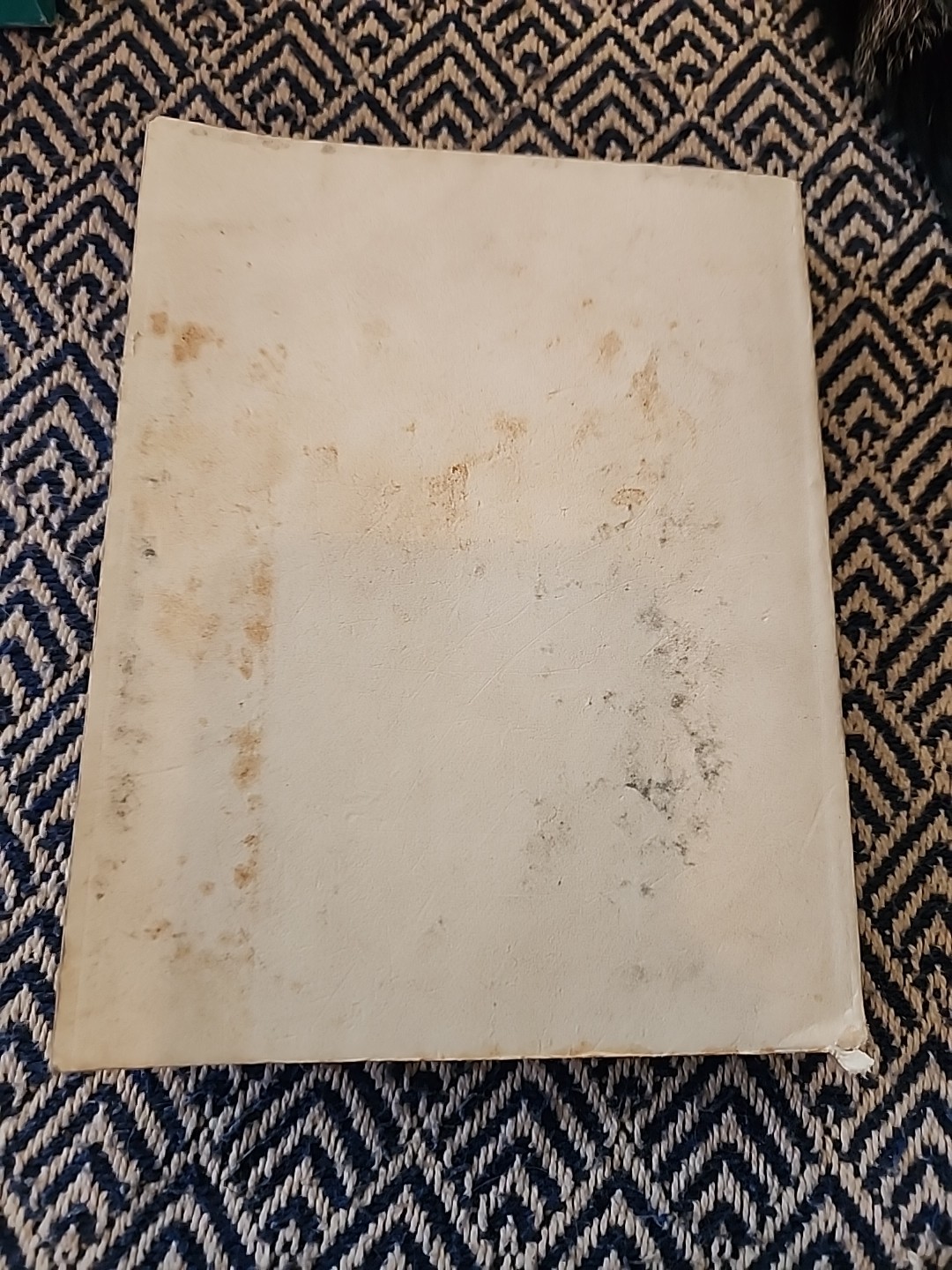 Mockel’s Desert Flower Notebook SIGNED by Author
