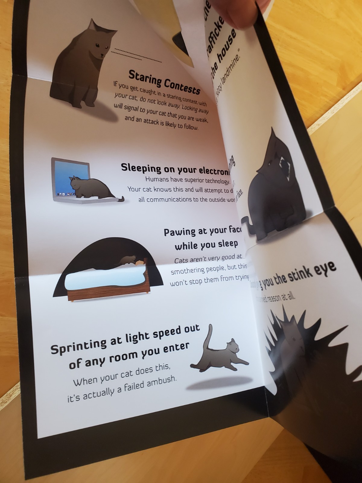 How to Tell If Your Cat Is Plotting to Kill You With Poster The Oatmeal 2012