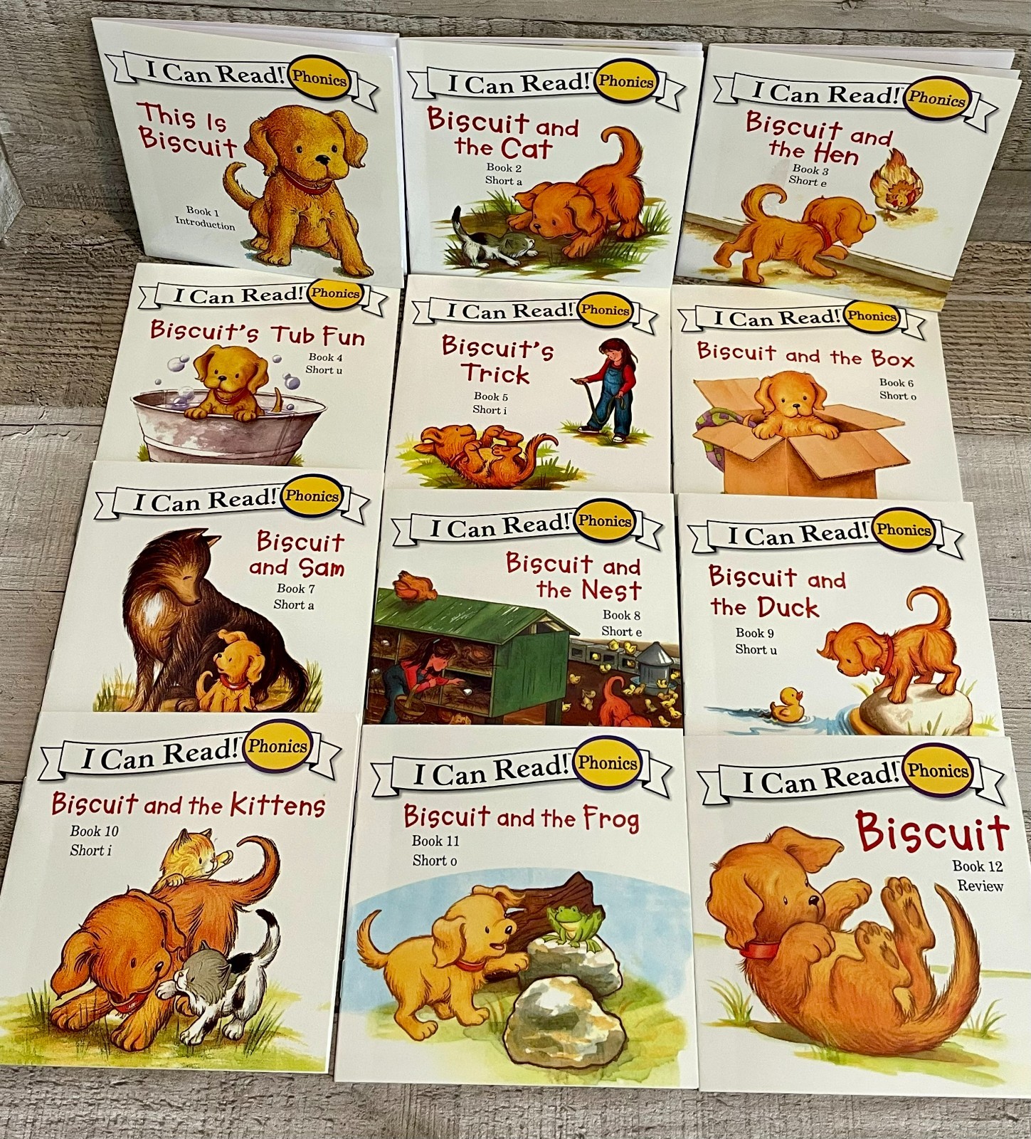 I Can Read Phonics (Short Vowels) “This is Biscuit” Set of 12