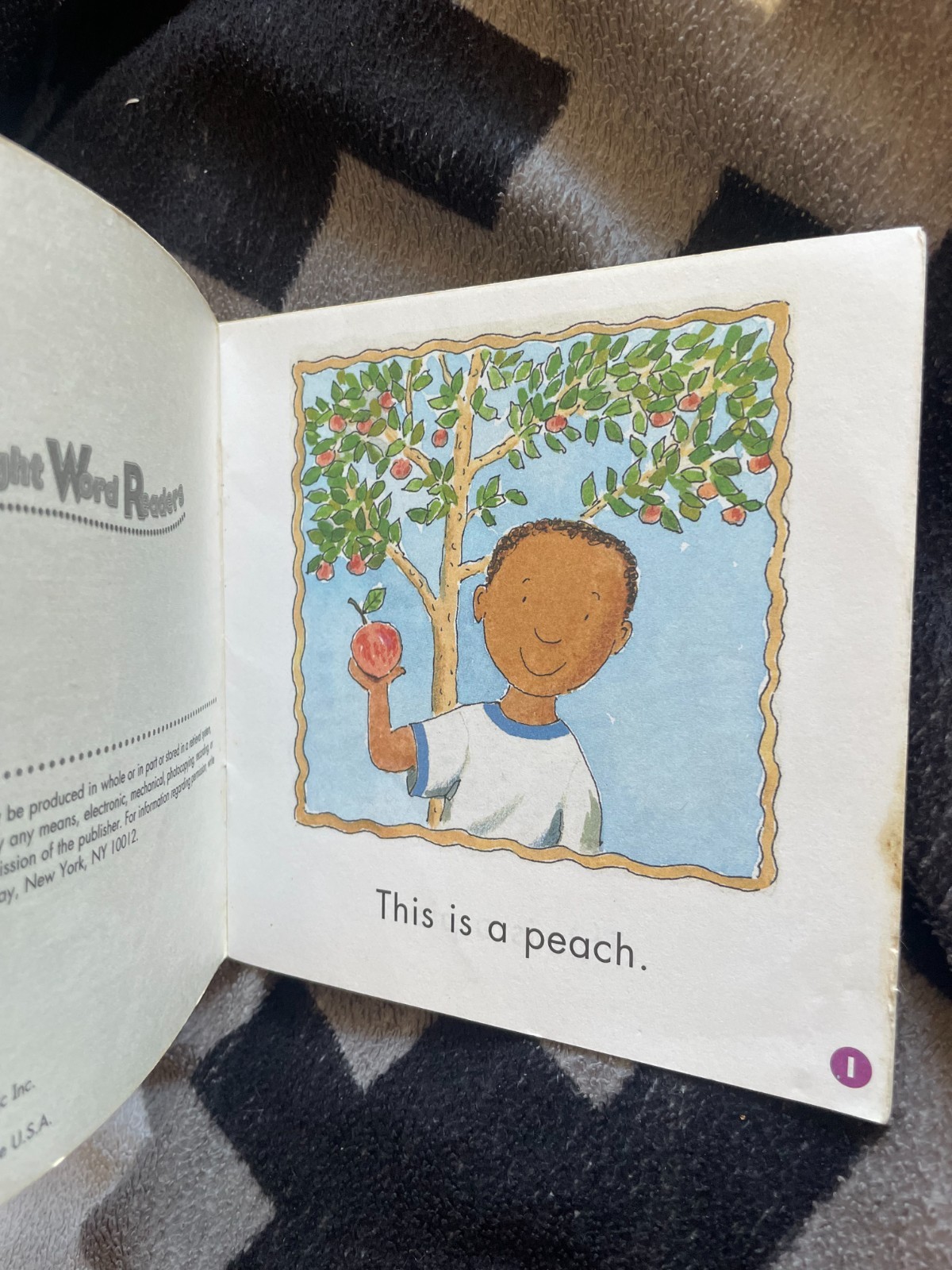 LINDA WARD BEECH. SIGHT WORD READERS. THIS IS A PEACH. 14 BY 14CM. 2003