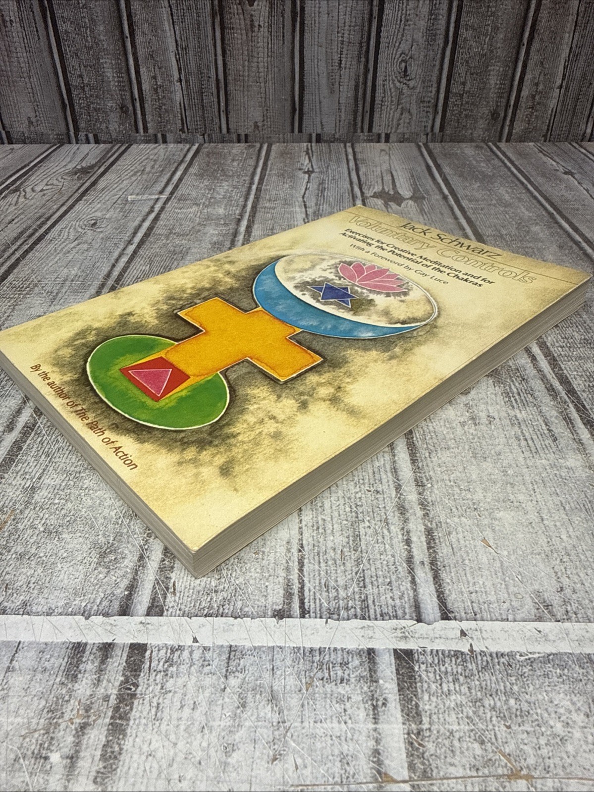 Voluntary Controls: Jack Schwarz, Paperback Meditation Chakras Exercises