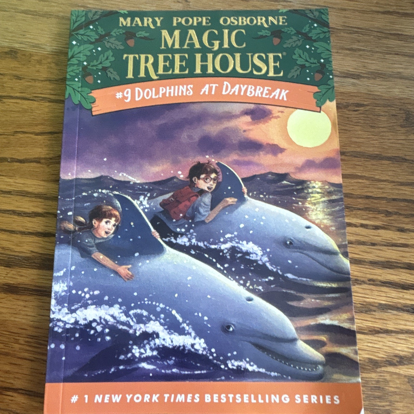 Magic Tree House #9 Dolphins at Daybreak Mary Po Osborne PB 1997 Illus