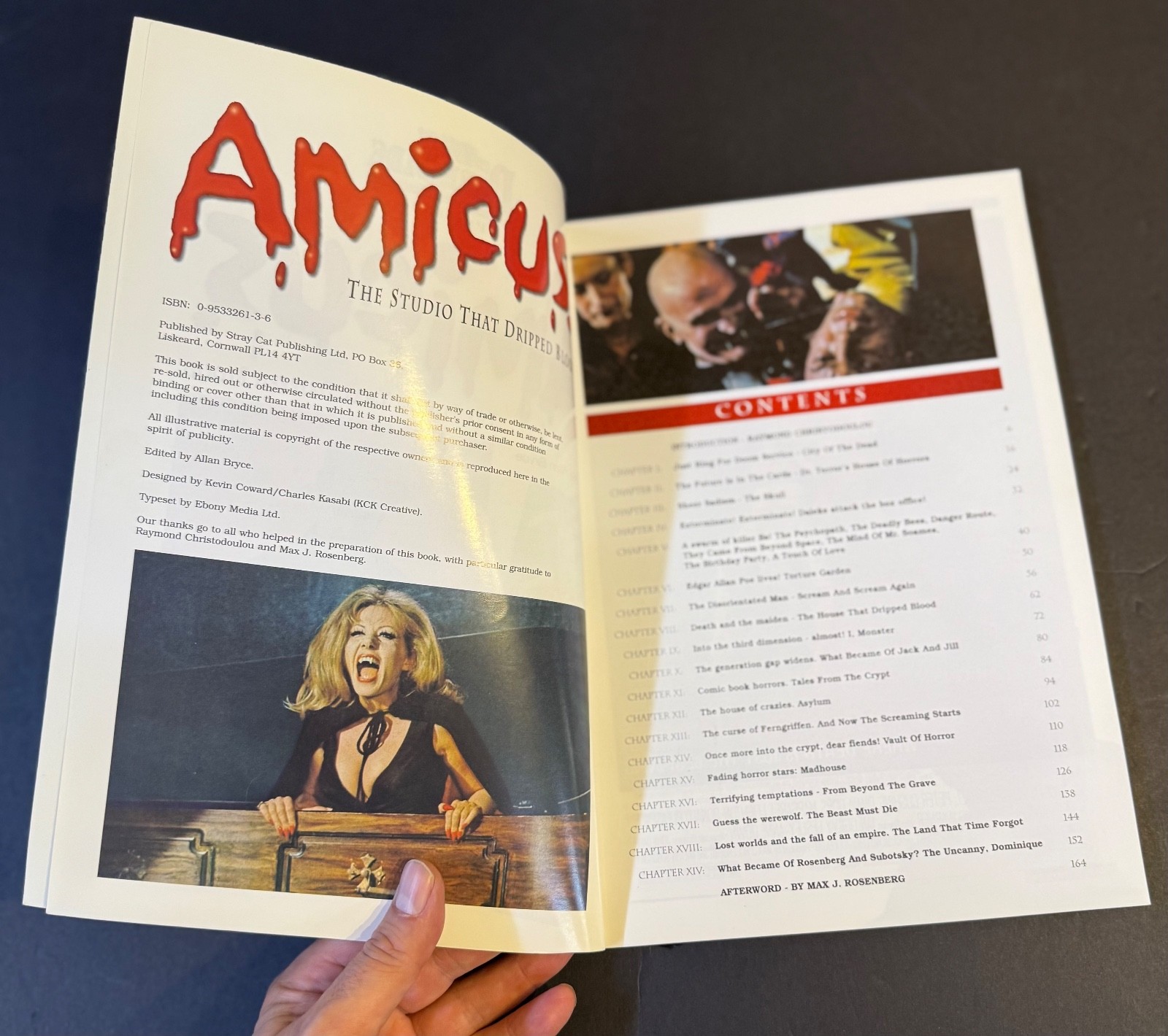 AMICUS The Studio That Dripped Blood UK FULL COLOR BOOK 164 PAGES Horror Films