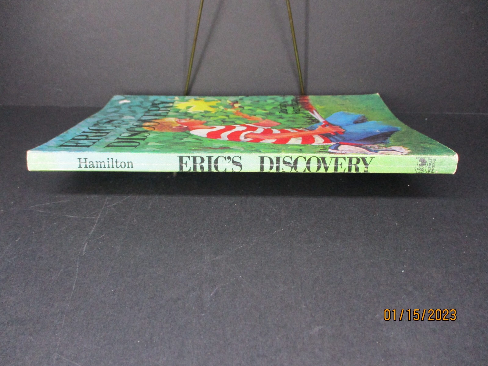 Eric’s Discovery by Dorothy Hamilton (1979, Paperback, Herald Press)