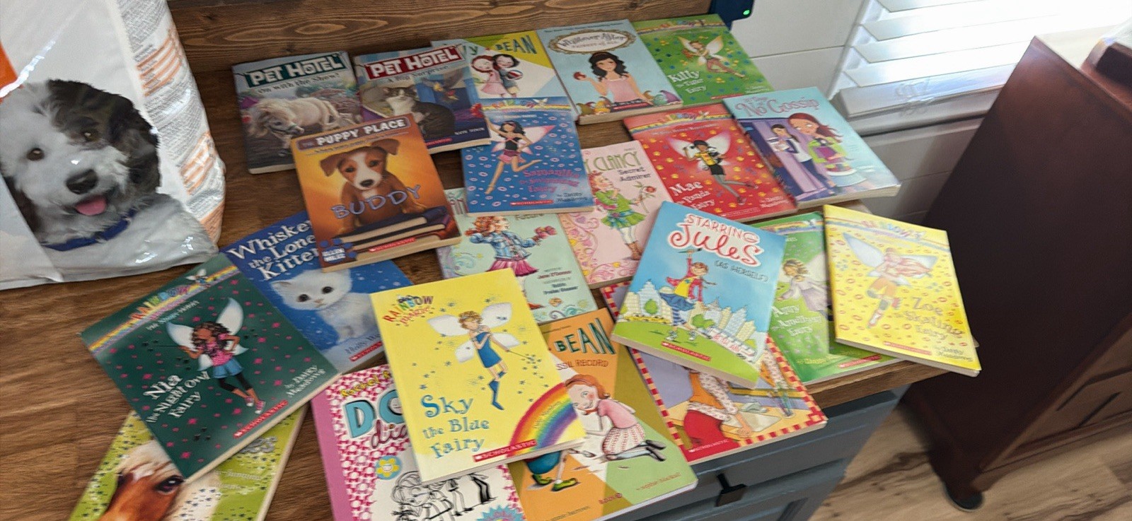 Girls Lot Of Books Misc