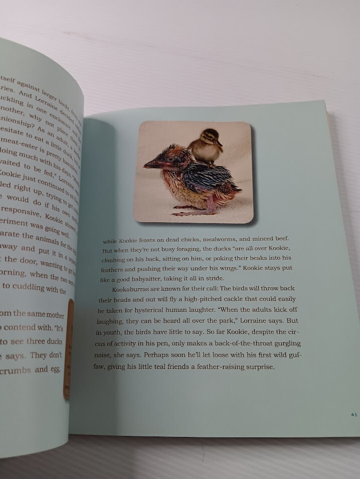 Unlikely Friendships 47 Stories from the Animal Kingdom Jennifer S Holland
