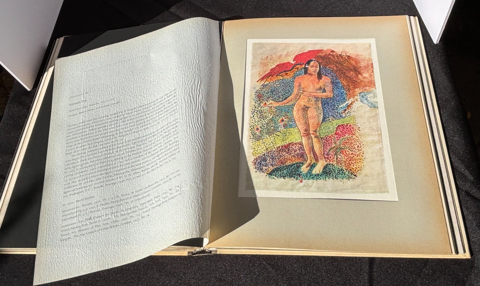 Collectible 1962 | Gauguin: Watercolors and Pastels by Jean Leymarie