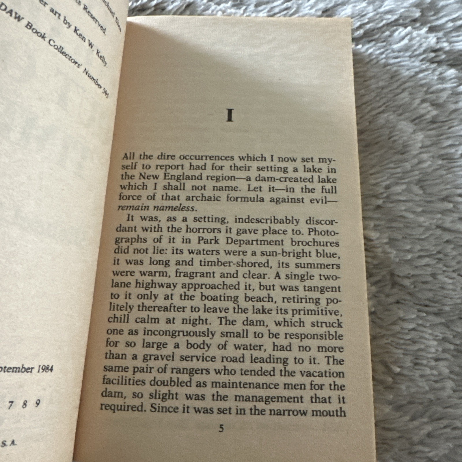 The Color Out of Time by Michael Shea – DAW Books First Printing Paperback 1984