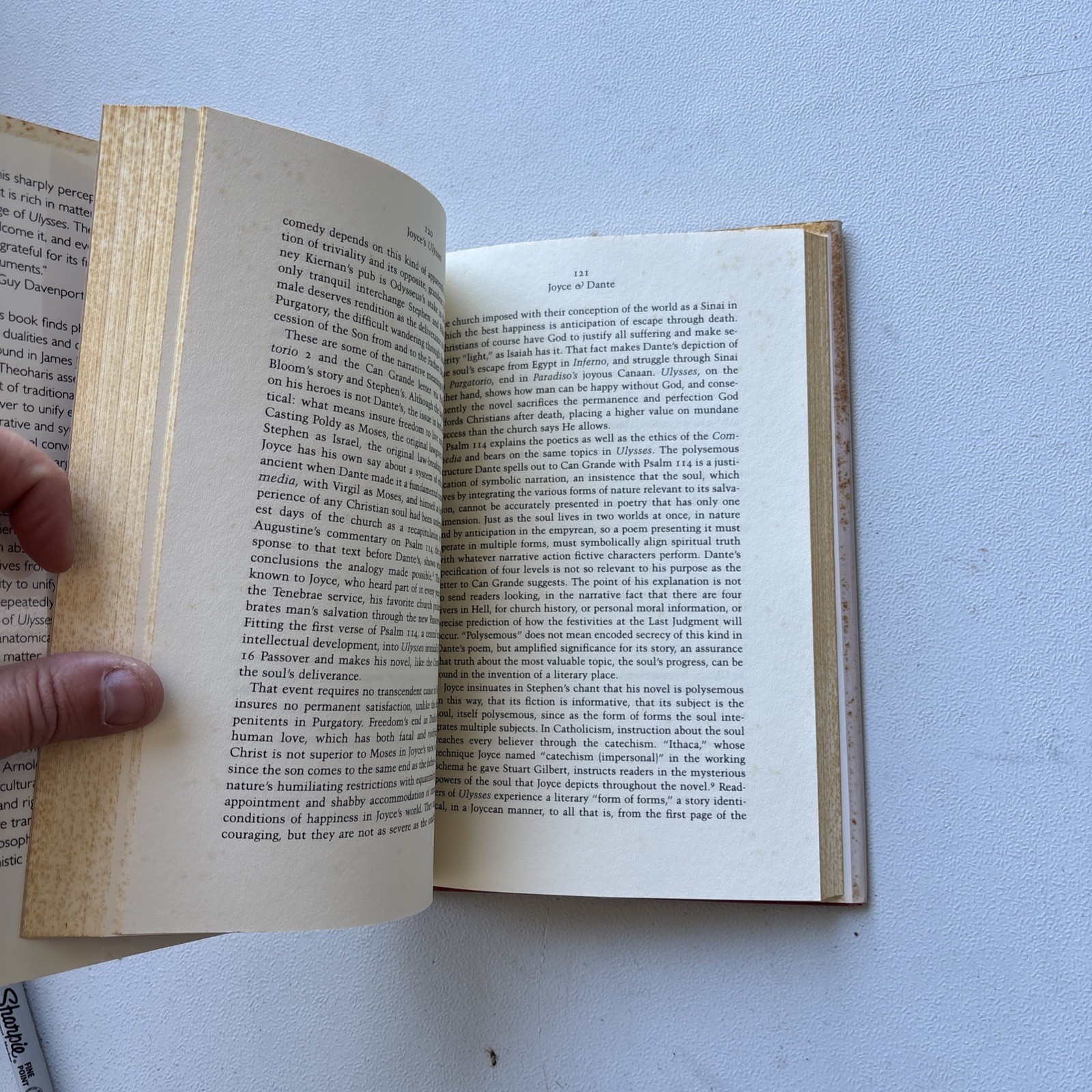 JOYCE’S ULYSSES: AN ANATOMY OF THE SOUL By Theoharis Constantine Theoharis