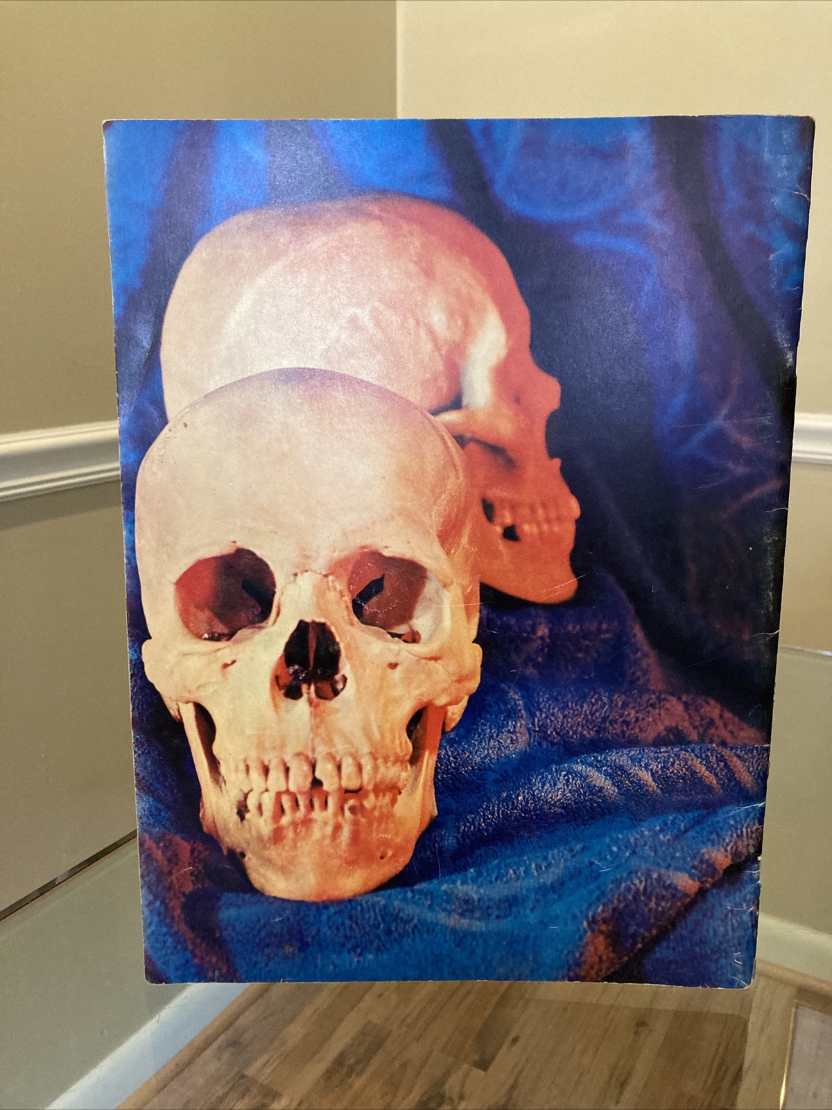 ANATOMY by Walter T Foster VINTAGE Paperback Drawing Book, Large Size QUICK SHIP