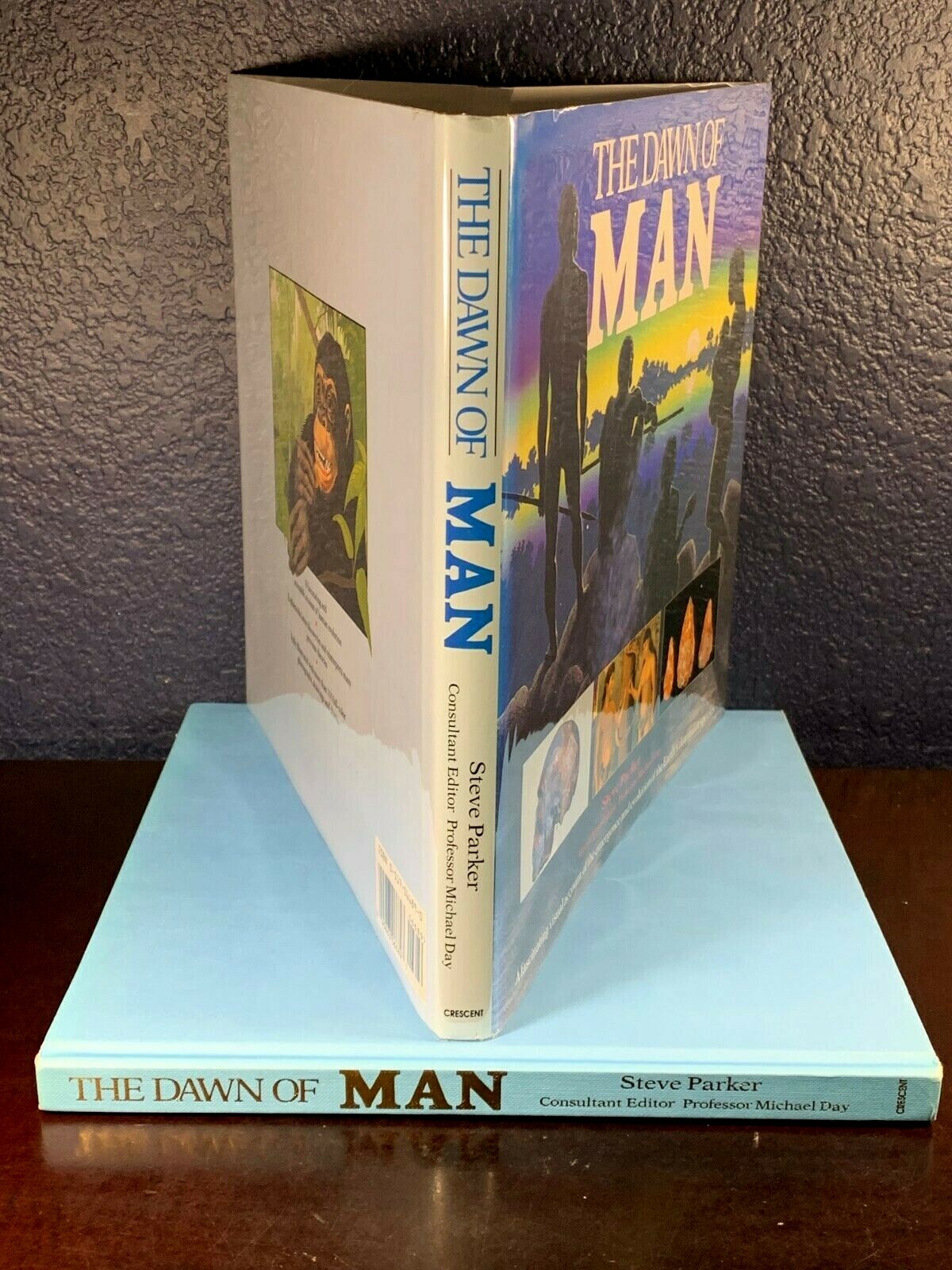 Steve Parker THE DAWN OF MAN Hardcover First Edition 1992 HC Book Evolution 1st/