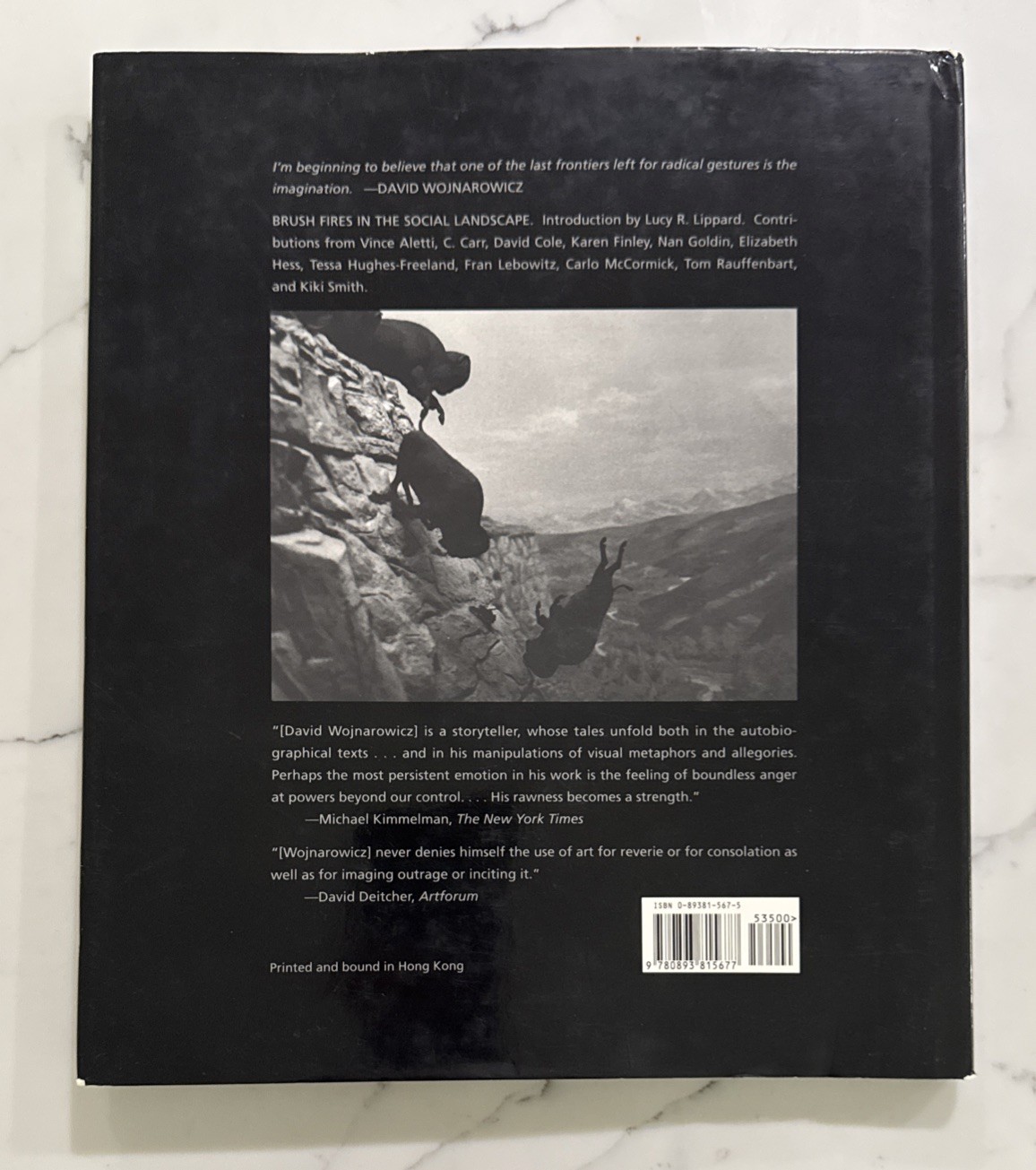 David Wojnarowicz : Brushfires in the Social Landscape (Hardcover, 1st/1st 2002)