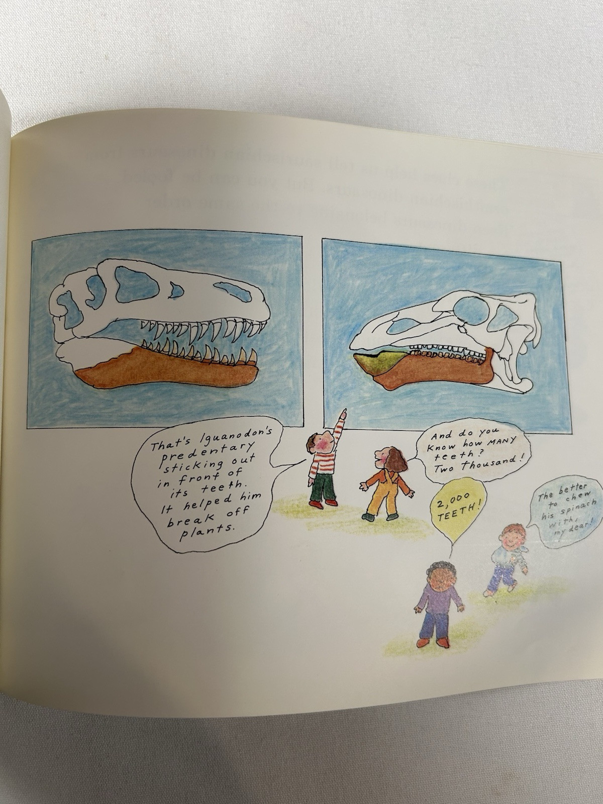 Dinosaurs Are Different Book and Tape (Let’s-Read-and-Find-Out Book). 1985