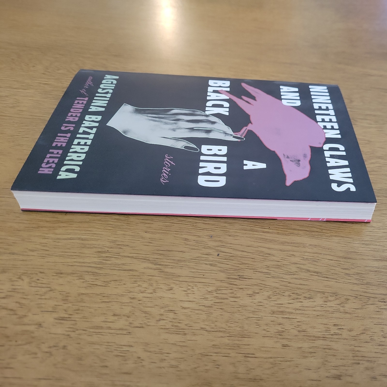 Nineteen Claws and a Black Bird – Agustina Bazterrica – TPB B&N Exclusive 2024