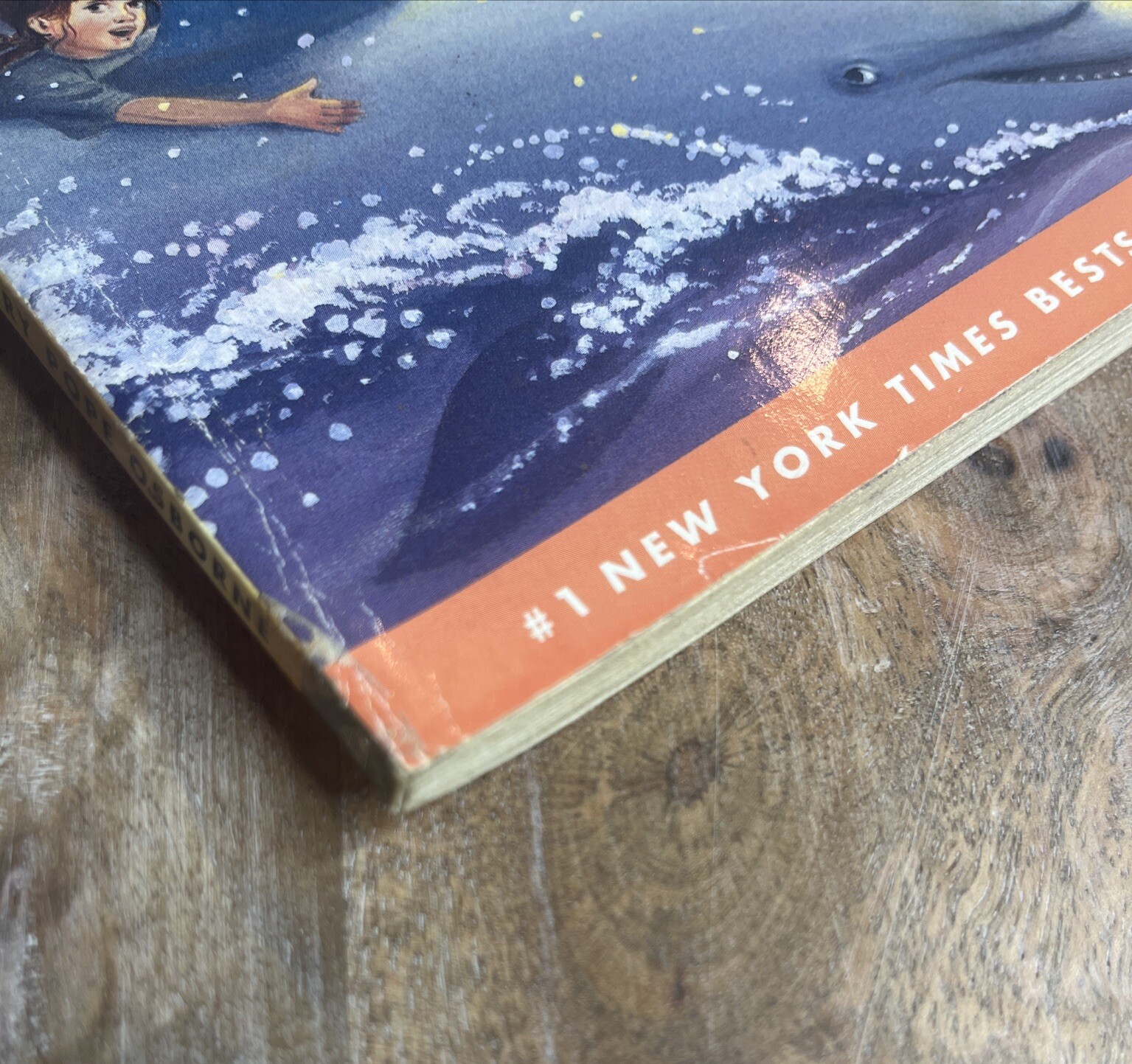 Dolphins at Daybreak (Magic Tree House, No. 9)