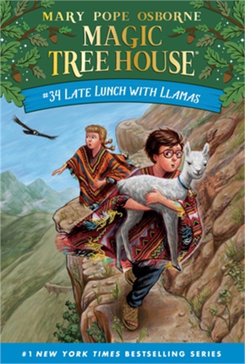 Late Lunch with Llamas (Paperback or Softback)