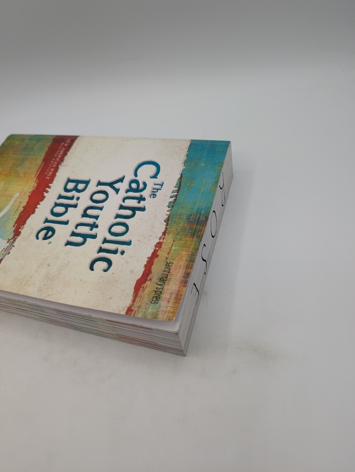 READ The Catholic Youth Bible, 4th Edition: New American Bible Revised Edition
