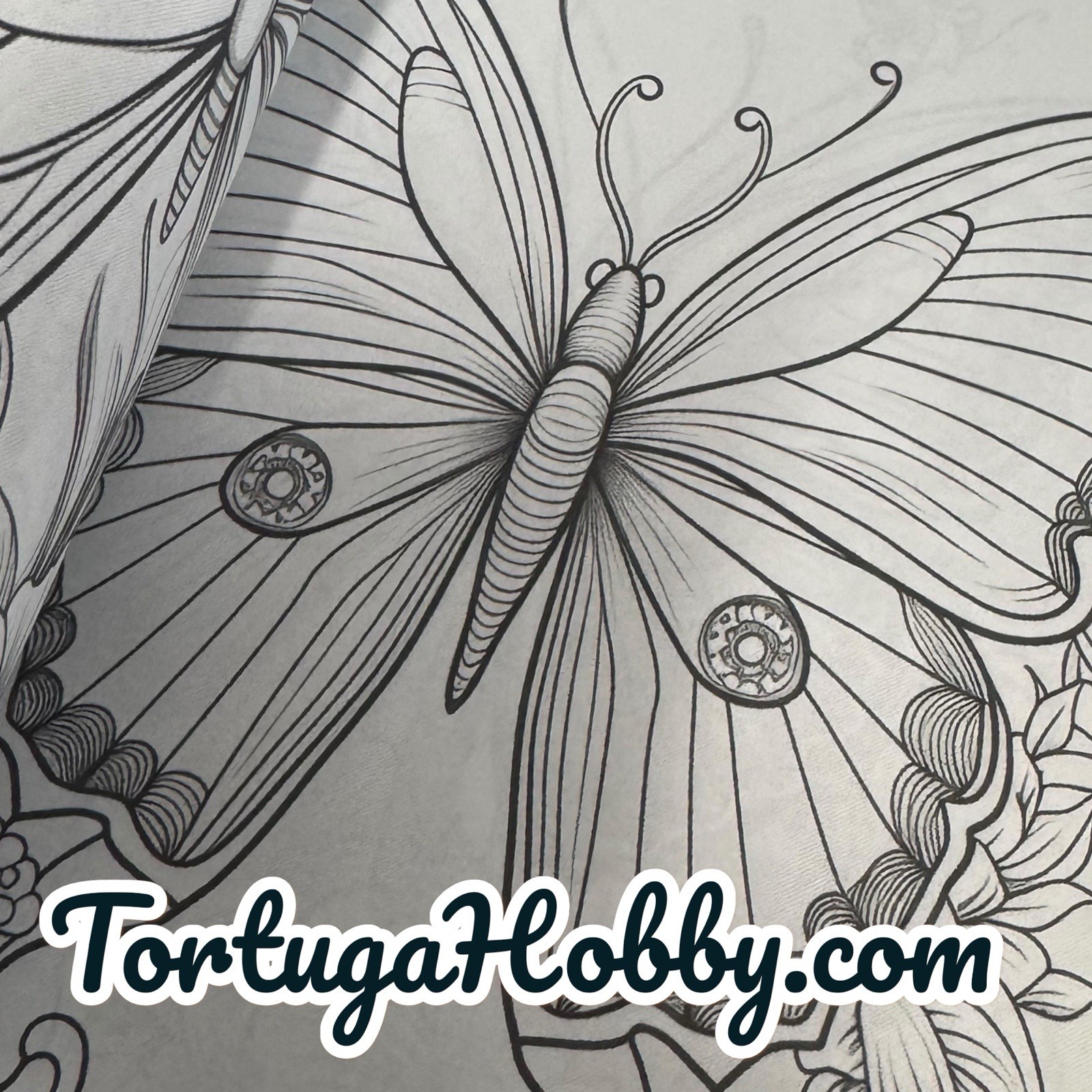 The World Of Butterflies – Adult Coloring Book – Coloring Book. 100+ Pages.