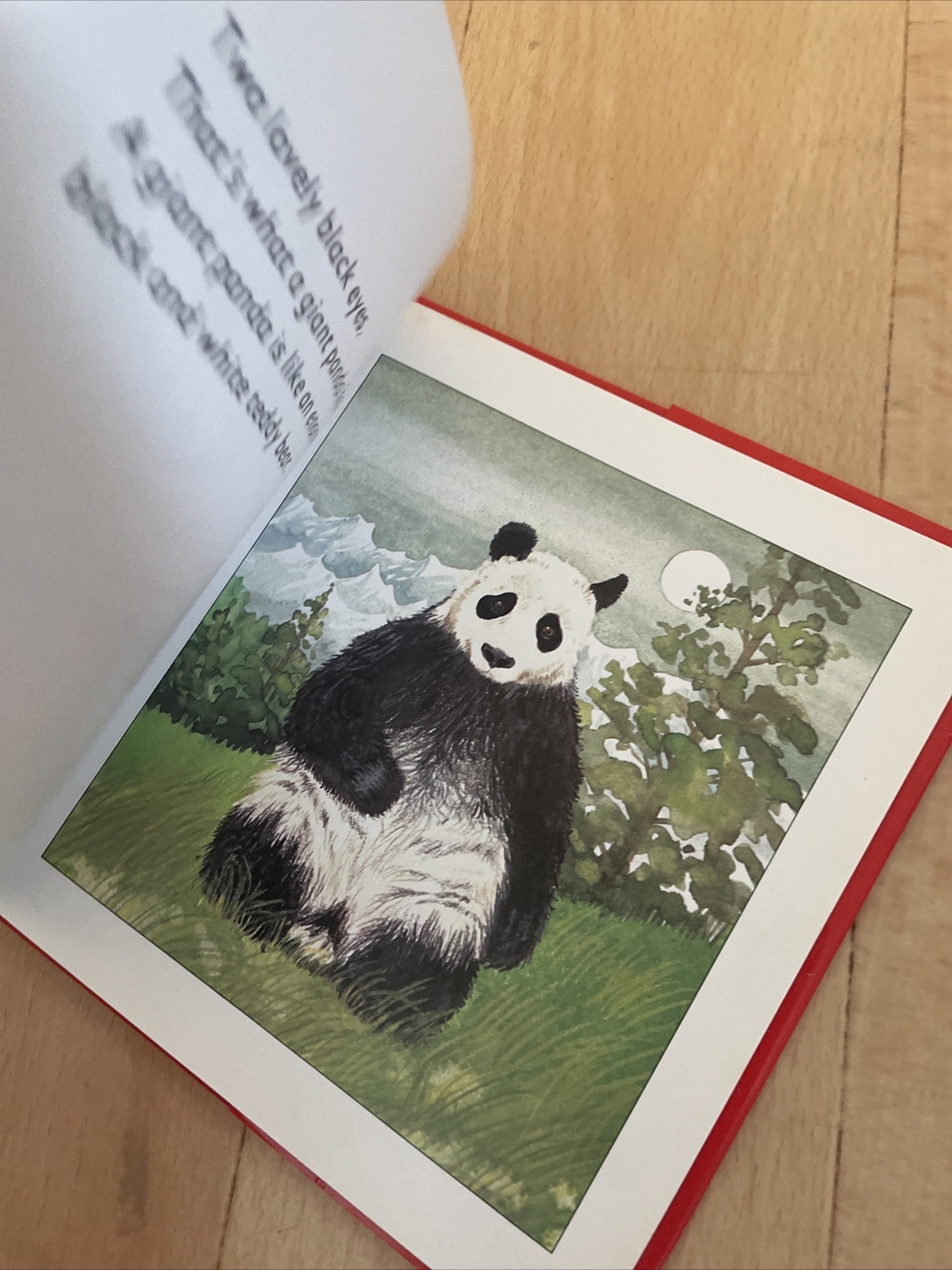 LONGMAN. HELLO PANDA. 17 BY 17CM. HARDCOVER WJACKET 058239077X
